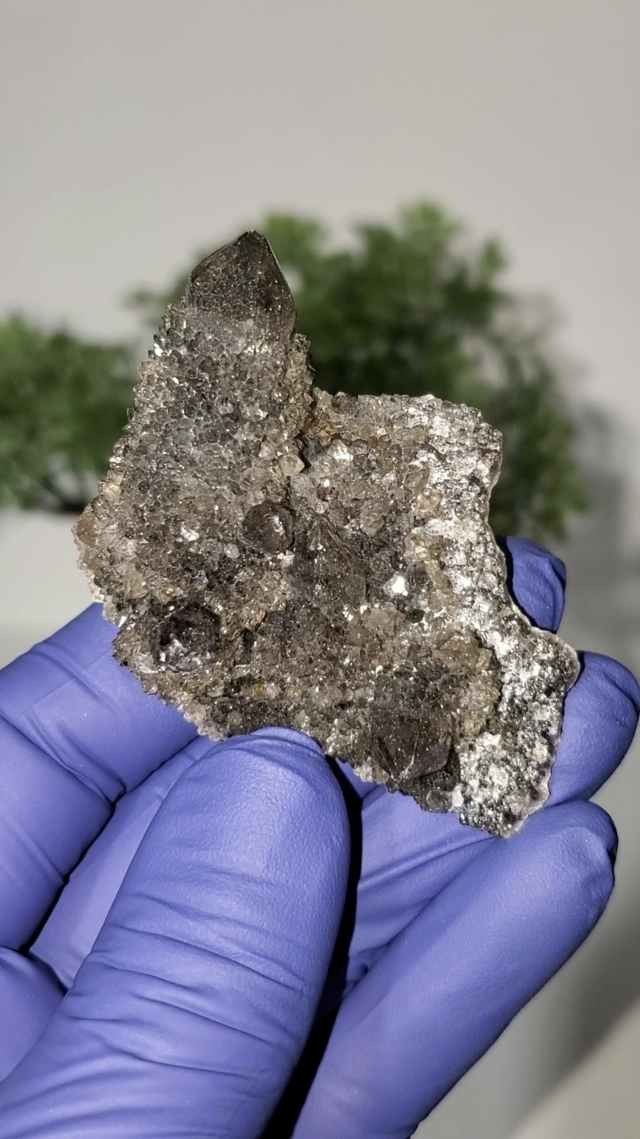 Black Spirit Quartz Cluster Specimen (Fairy Quartz) South Africa 34g