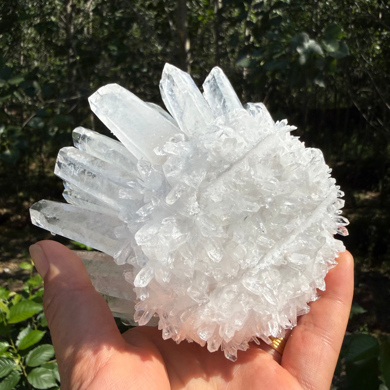 2.2LB Large Natural White Clear Quartz Cluster Crystal Mineral Healing 1pc