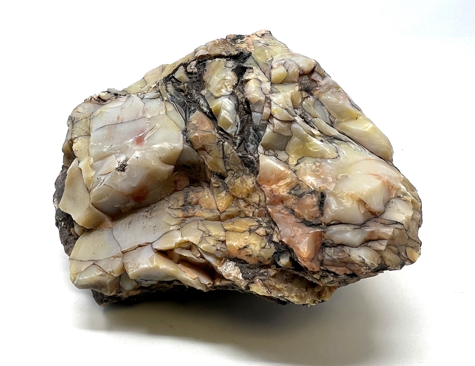 Loose Natural Stone – United States: Petrified Wood 3lb Raw/Natural