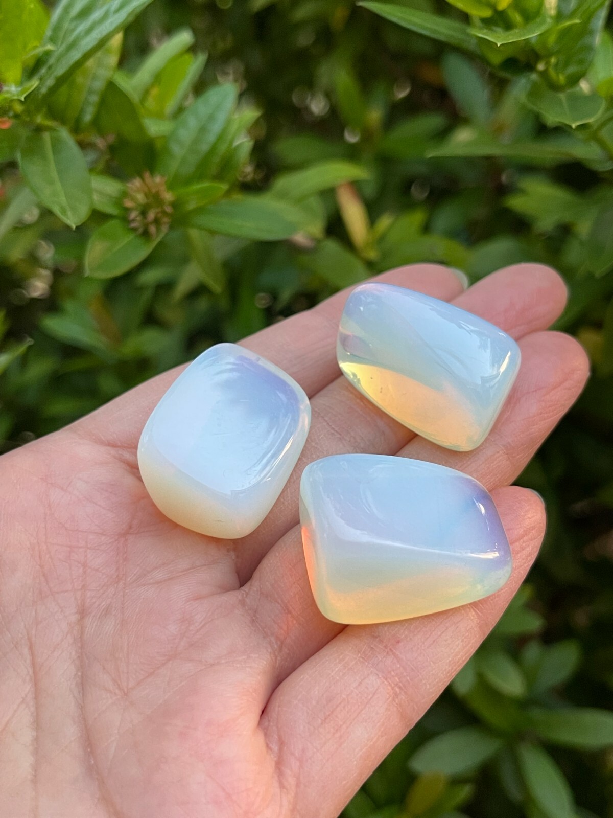 Grade A++ Opalite Tumbled Stones, 1-1.25 Inches Tumbled Opalite, Pick How Many