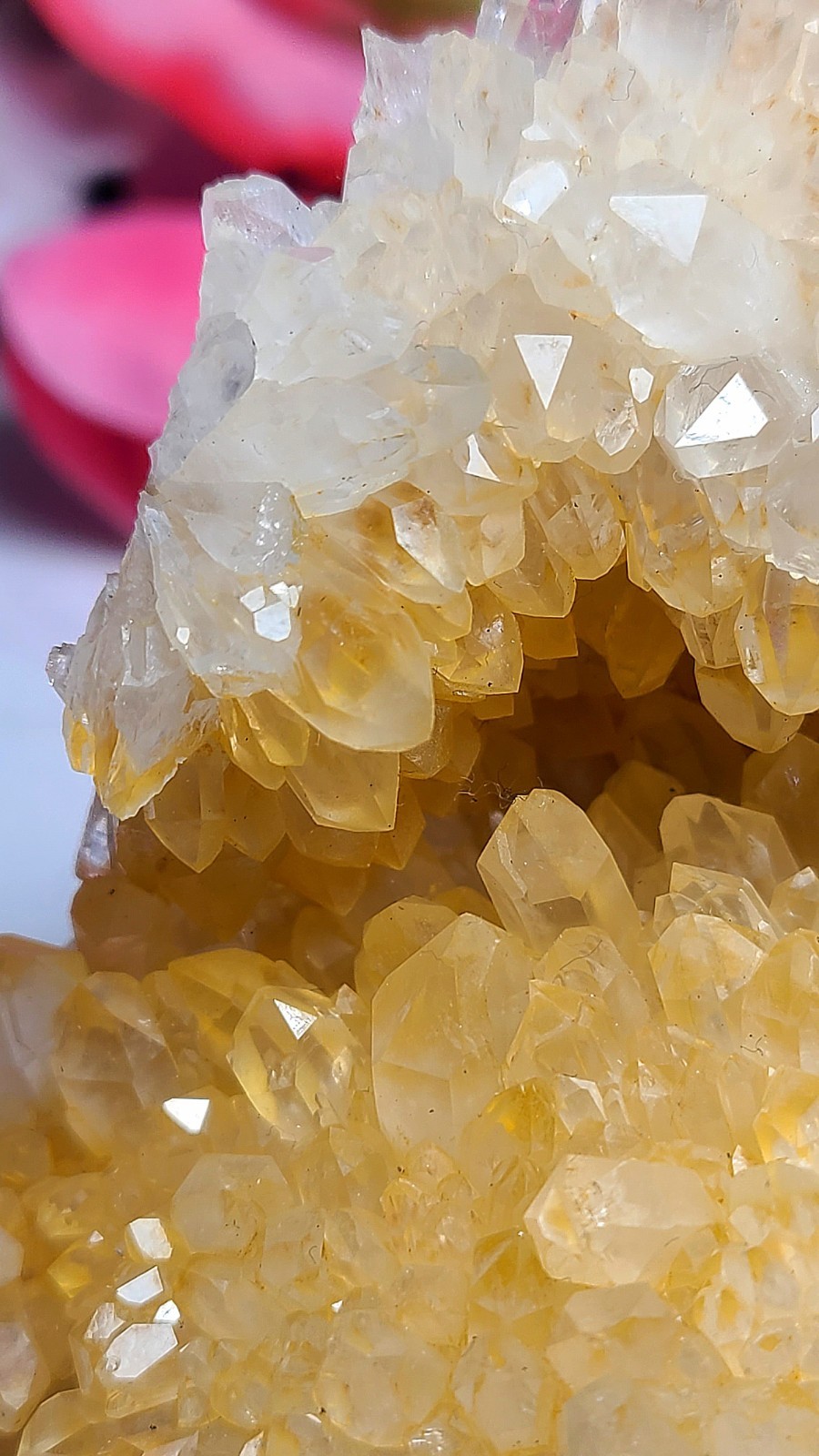 3.7″ 361g Pretty A+ Golden Healer Flower Quartz Crystal Stone Cluster Specimen