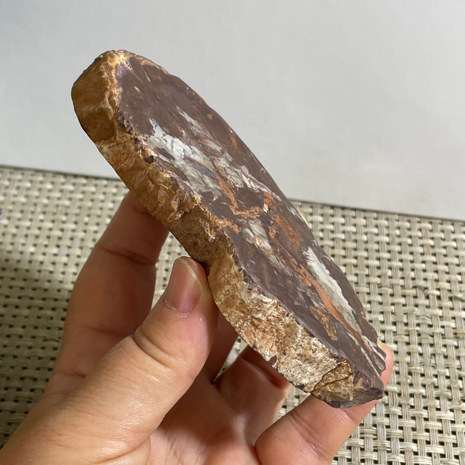 Natural Polished Petrified Wood Crystal Slice Madagascar 175g