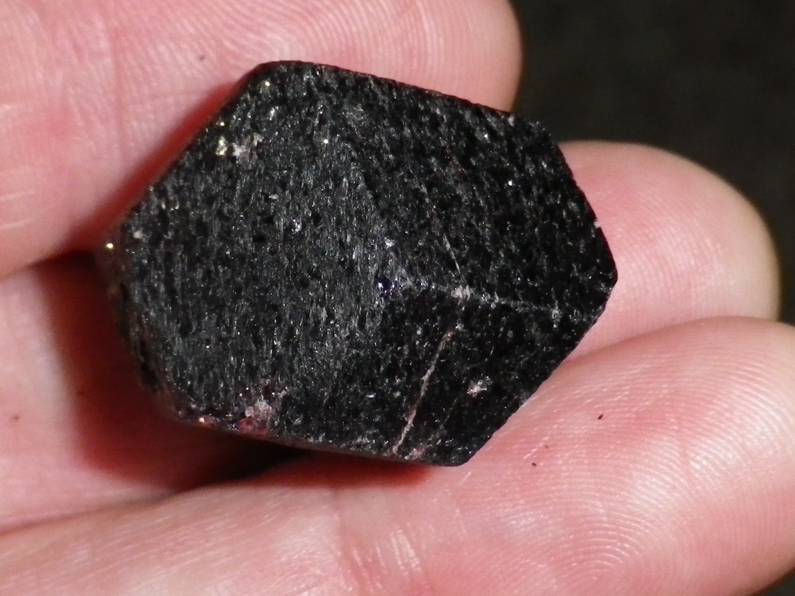 Deep Red Medium Large Garnet Crystal (Almandine ) 29.8g