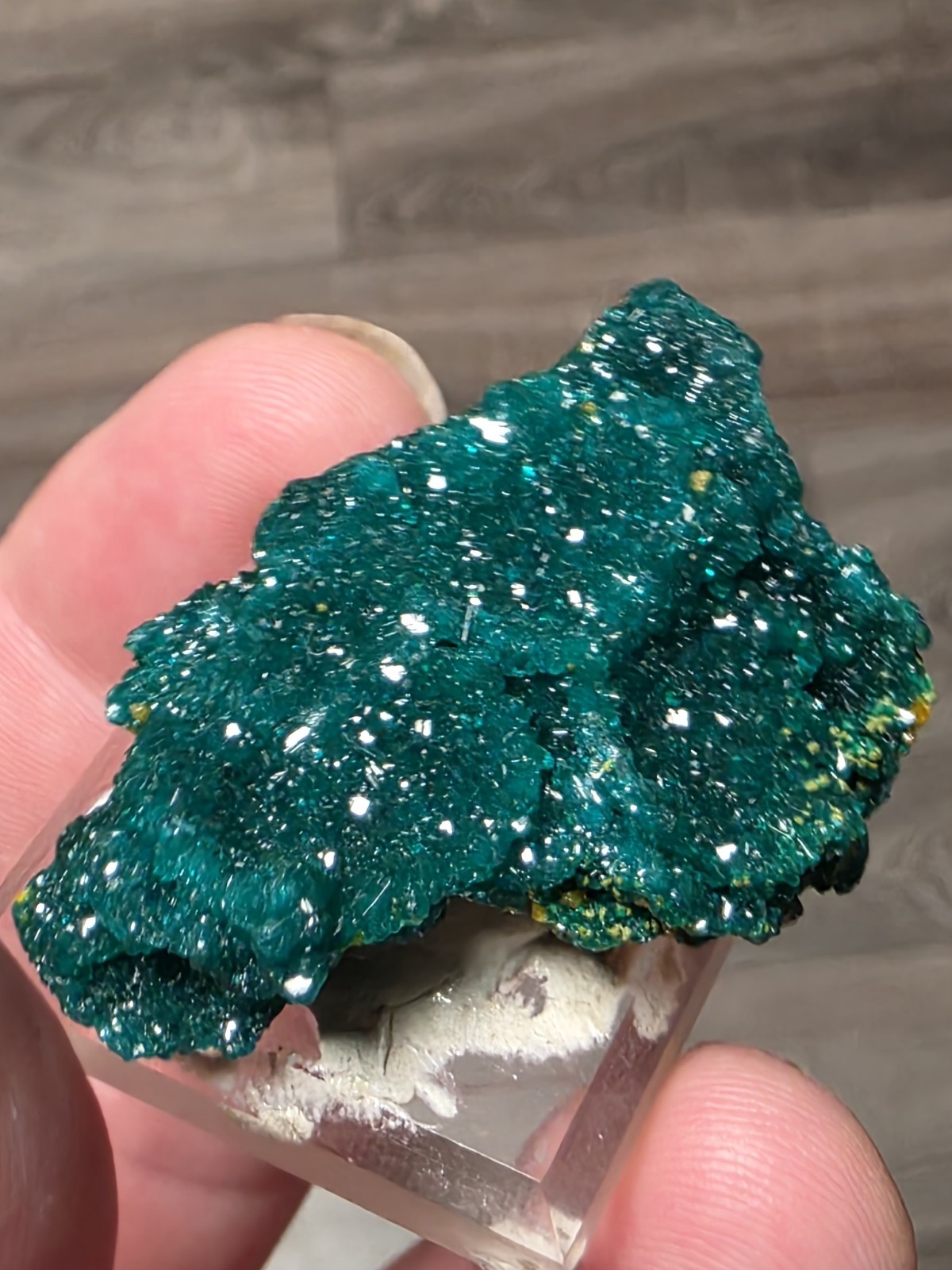 DIOPTASE w/ Wulfinite Crystal Mineral Specimen Cluster Green CONGO AFRICA 4.5 cm