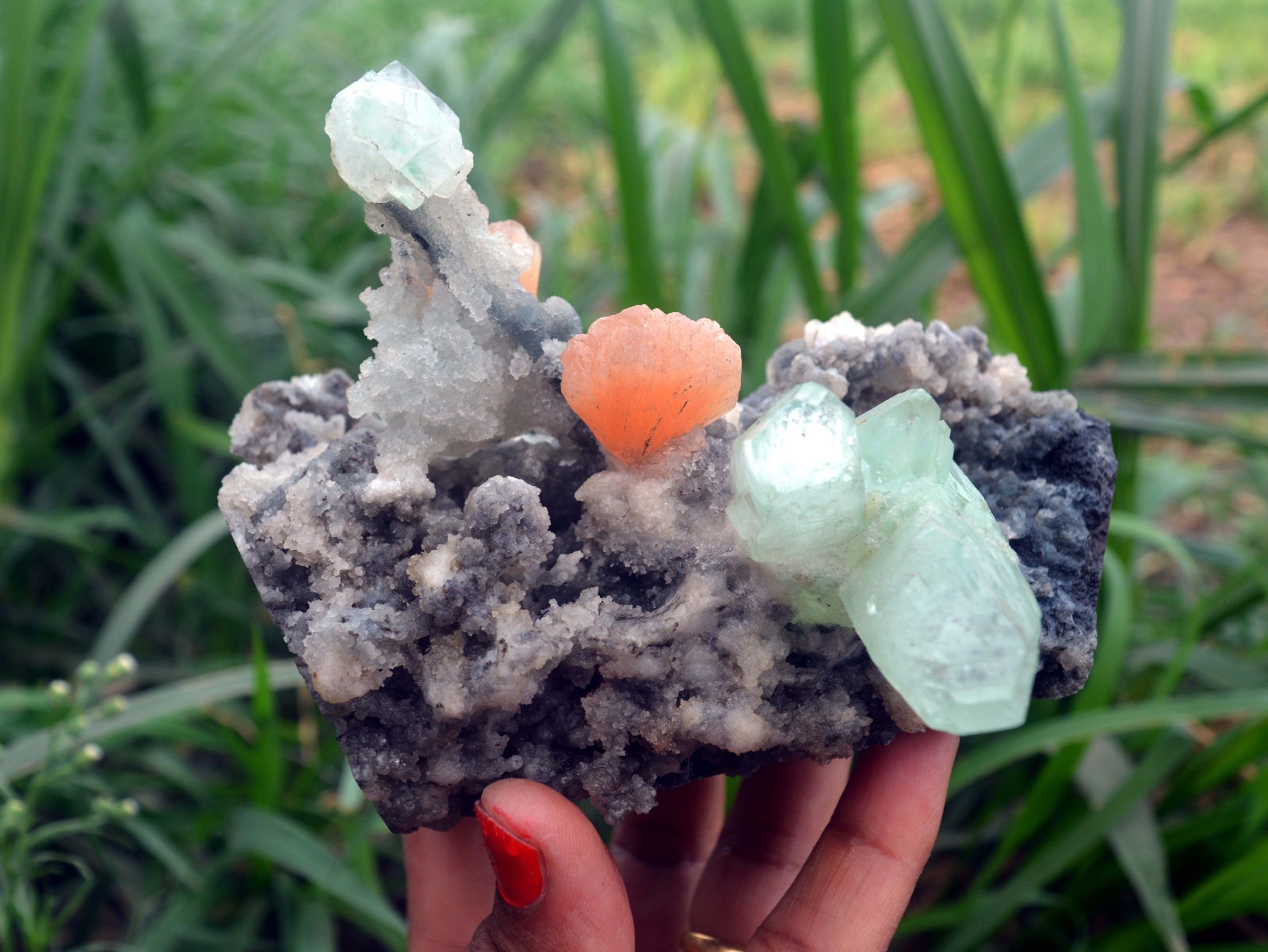 apophyllite w/ stilbite & chalcedony (Modified Item) minerals specimen m-5