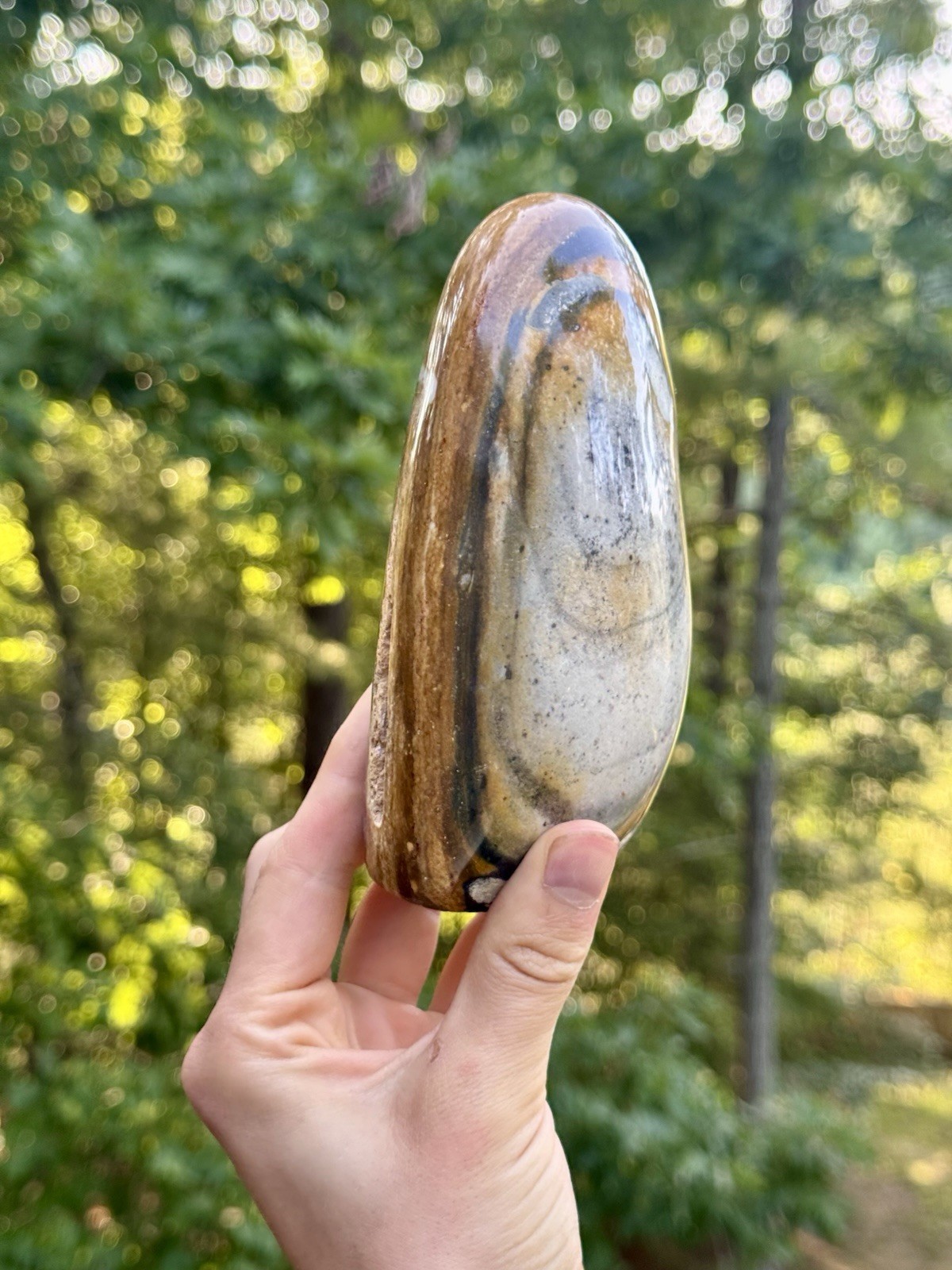 Large Polychrome Jasper Freeform 740g Polished Desert Jasper Display Stone