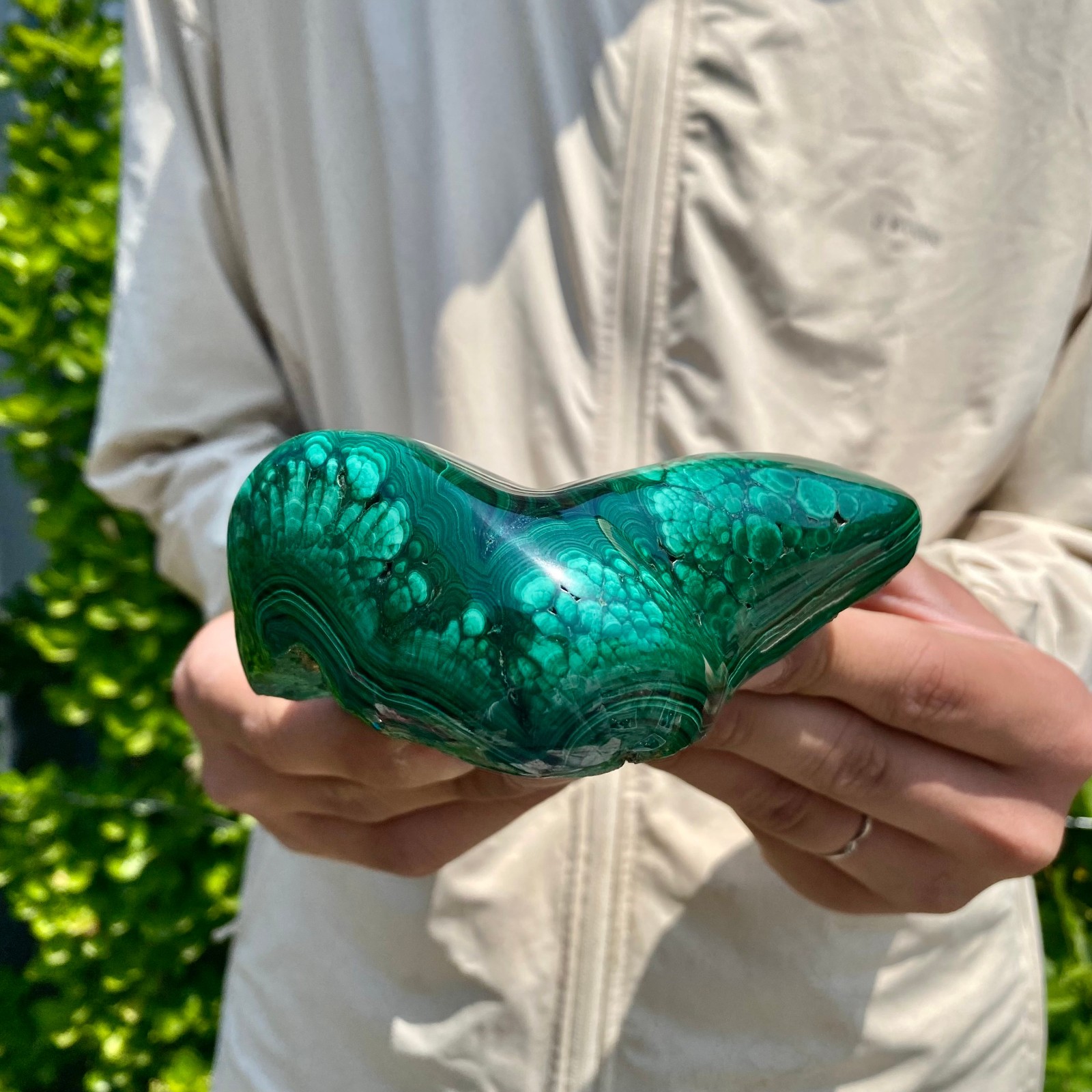 2.42LB Natural glossy Malachite transparent cluster rough mineral sample