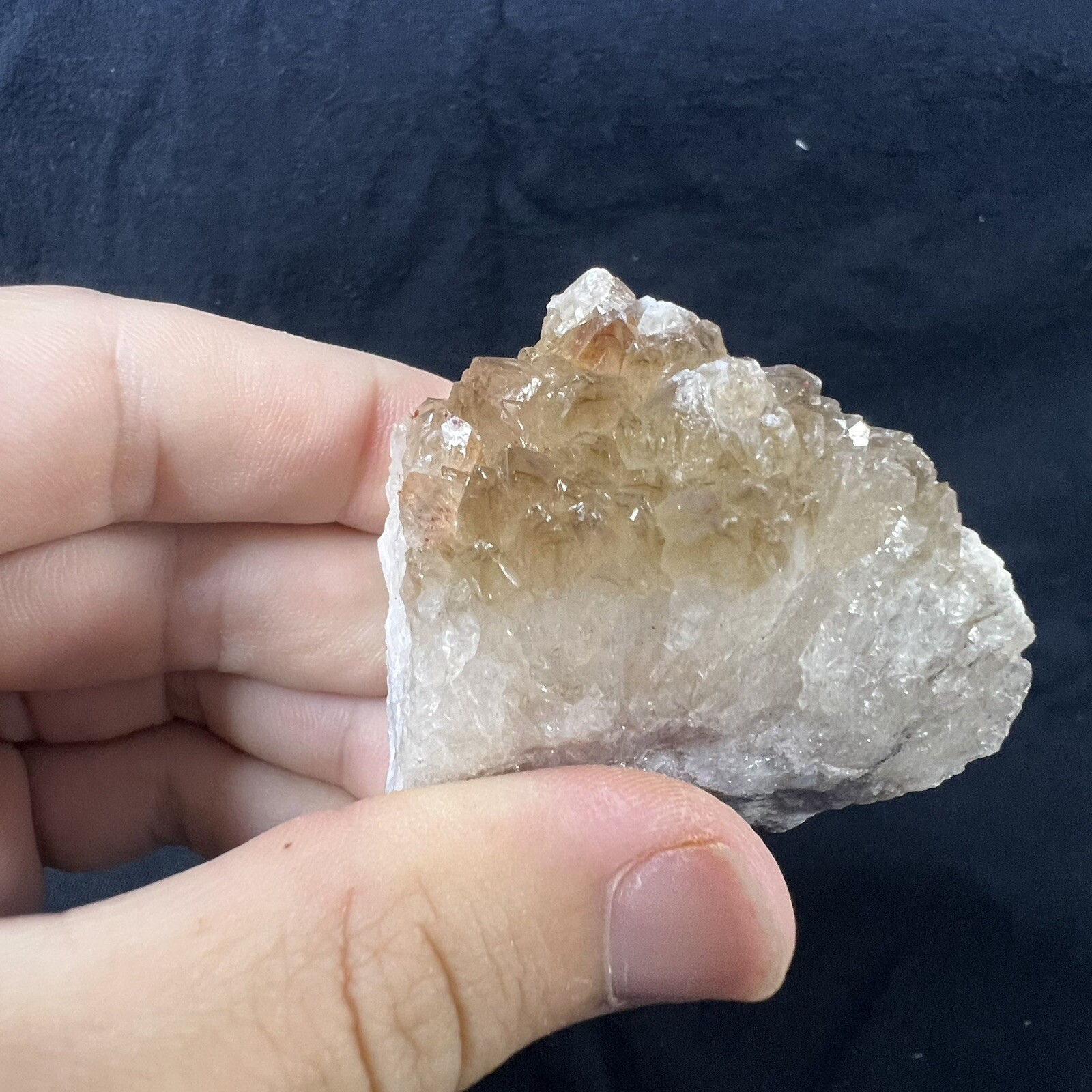 Lot of 6 Quartz Crystal Druse Clusters on Lace Agate | Missouri