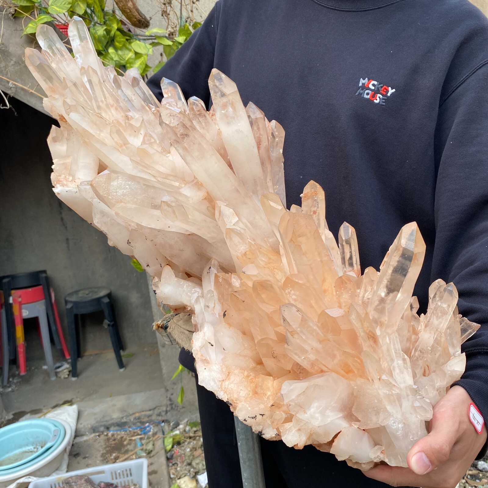 81.6lb Natural Clear White quart Crystal Cluster Raw Healing Specimen