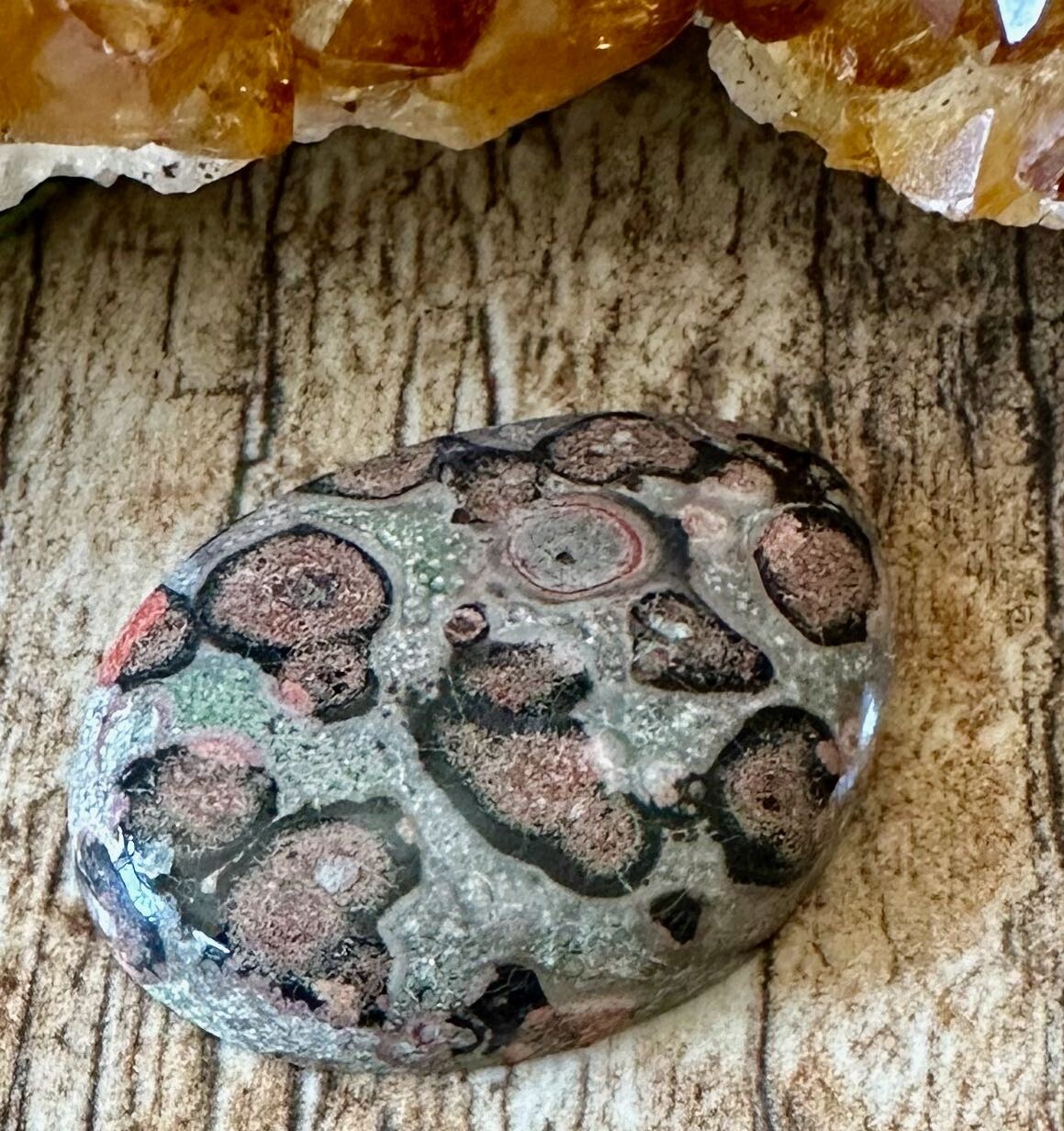 Unique Leopardskin Jasper Freeform Cabochon 34mm x 25mm