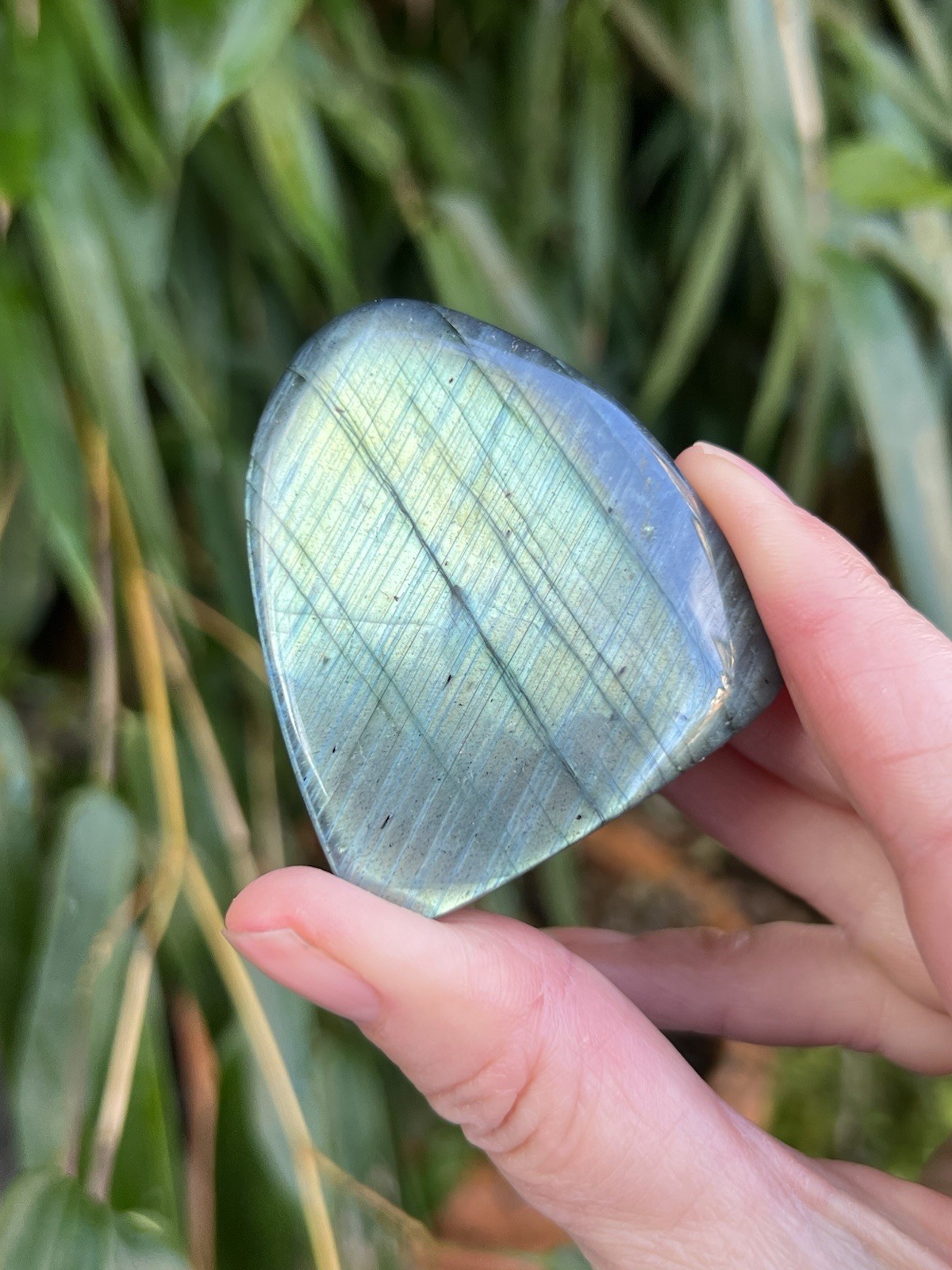 Silver Blue Labradorite Freeform Iridescent Crystal AAA+ 15