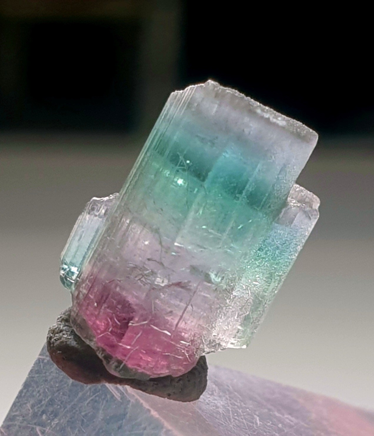 Saturated Top Quality Twin MultiColour Watermelon Terminated Tourmaline Crystal