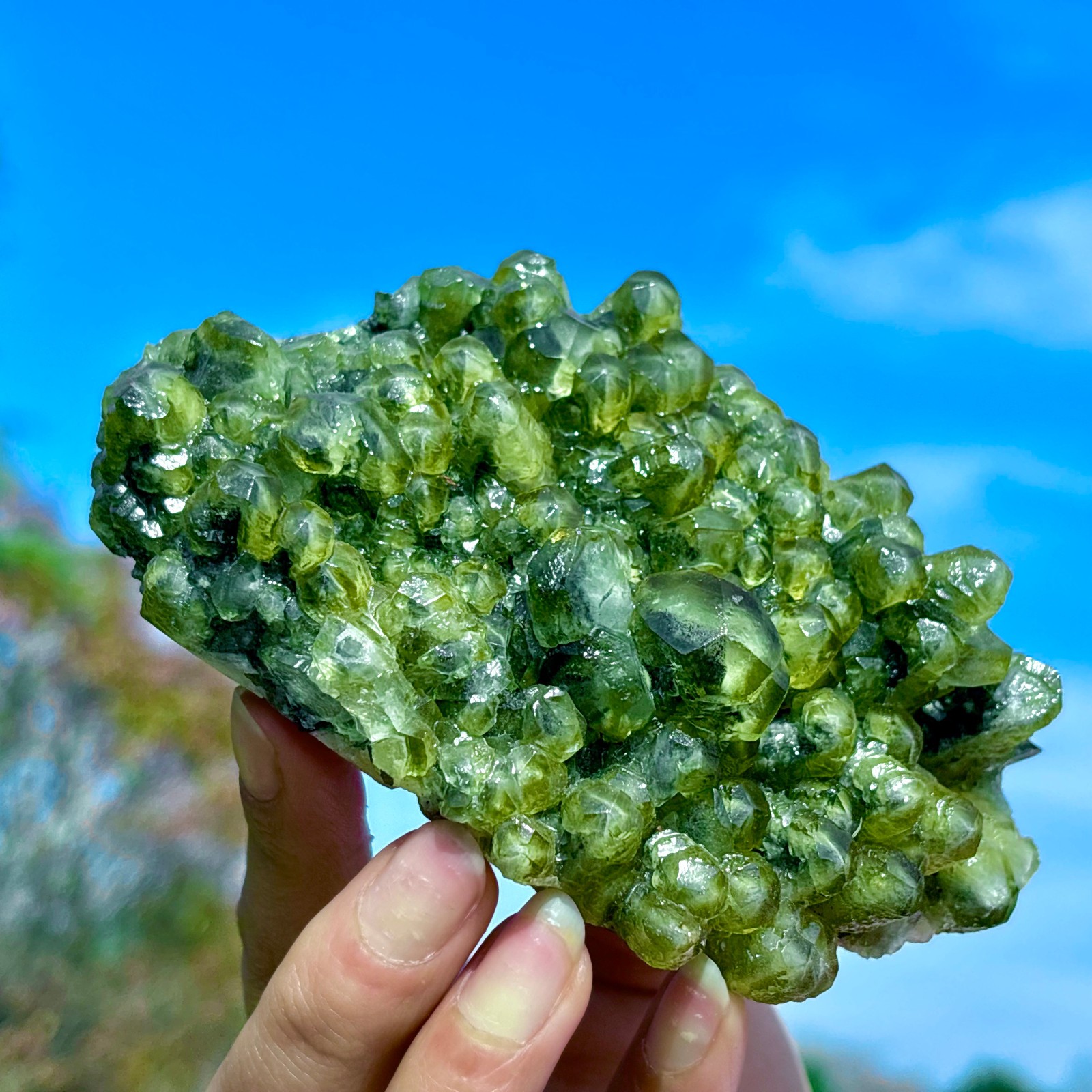 405G Natural Spherical Prehnite Crystal Gem Mineral Specimen&Crystallization