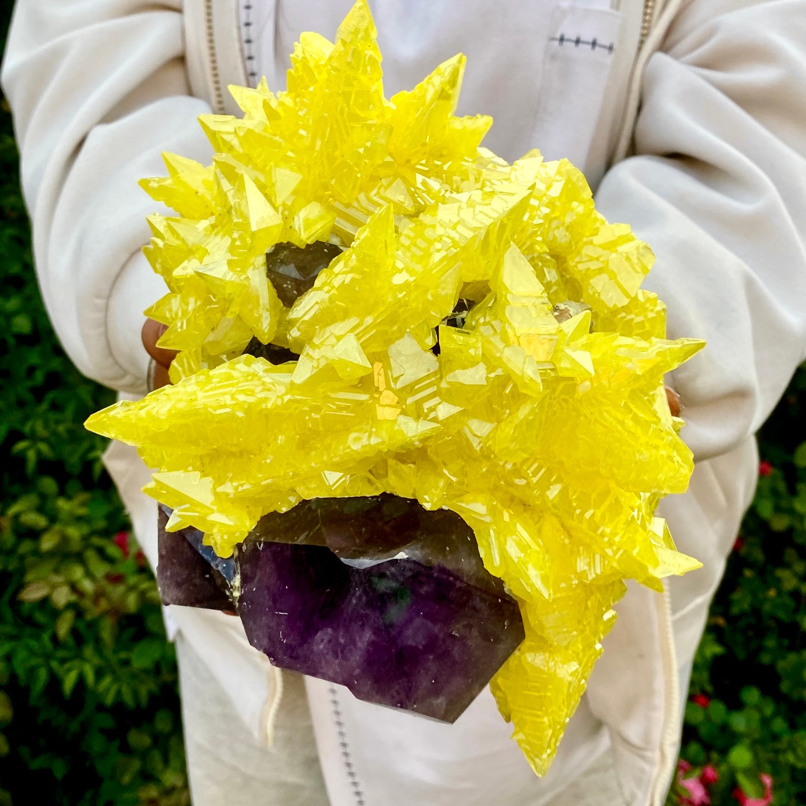 10LB Natural Amethyst & Sulphur Symbiotic Crystal Cluster Specimen