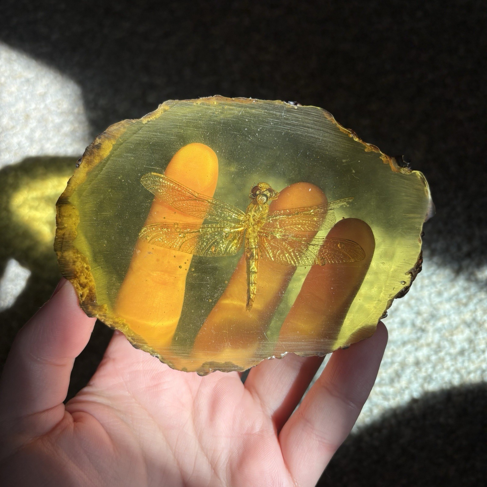 Dragonfly In Amber Resin Crystal Display Yellow Pretty