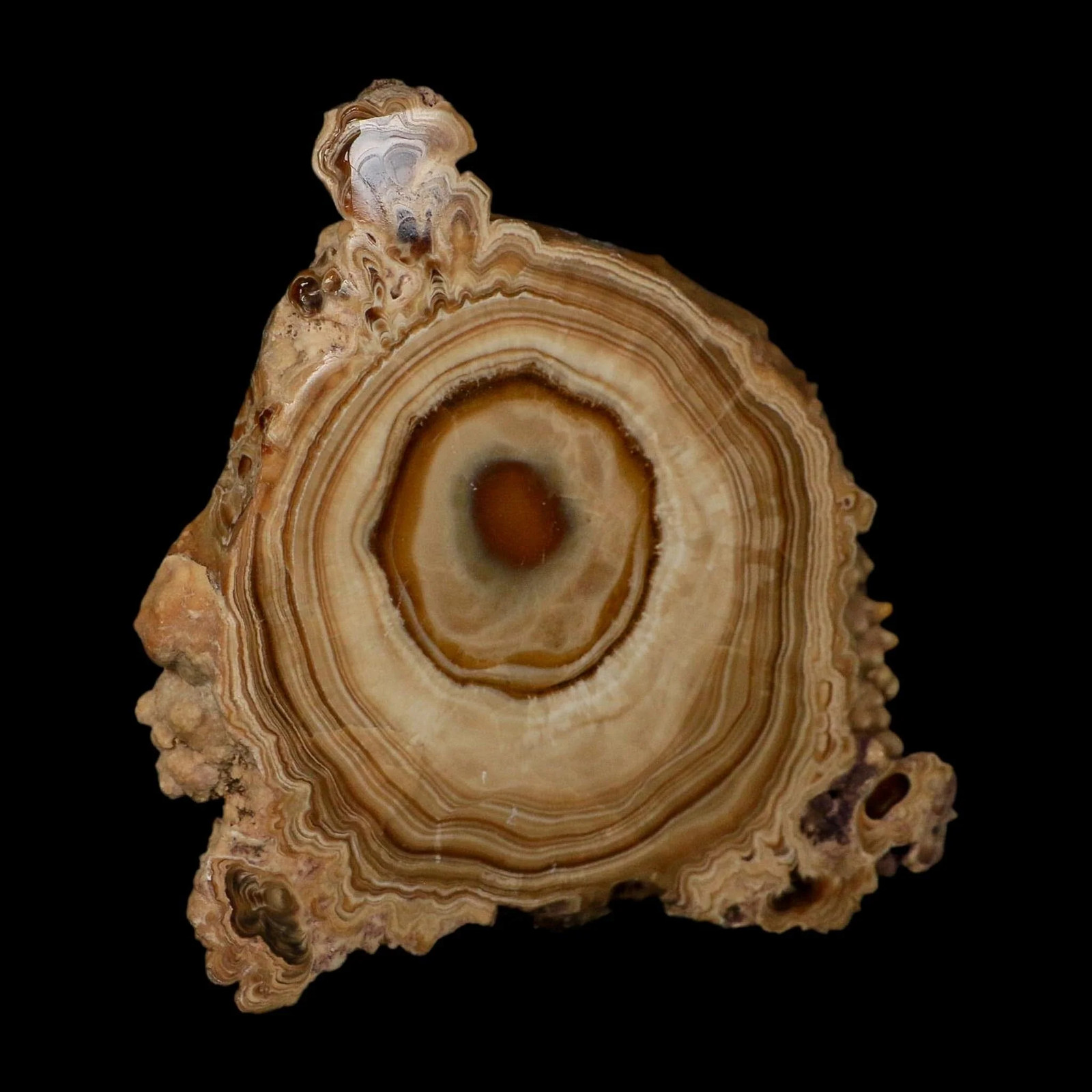 5.6″ Aragonite Stalactite Slice Cave Calcite Crystal Mineral Specimen Morocco