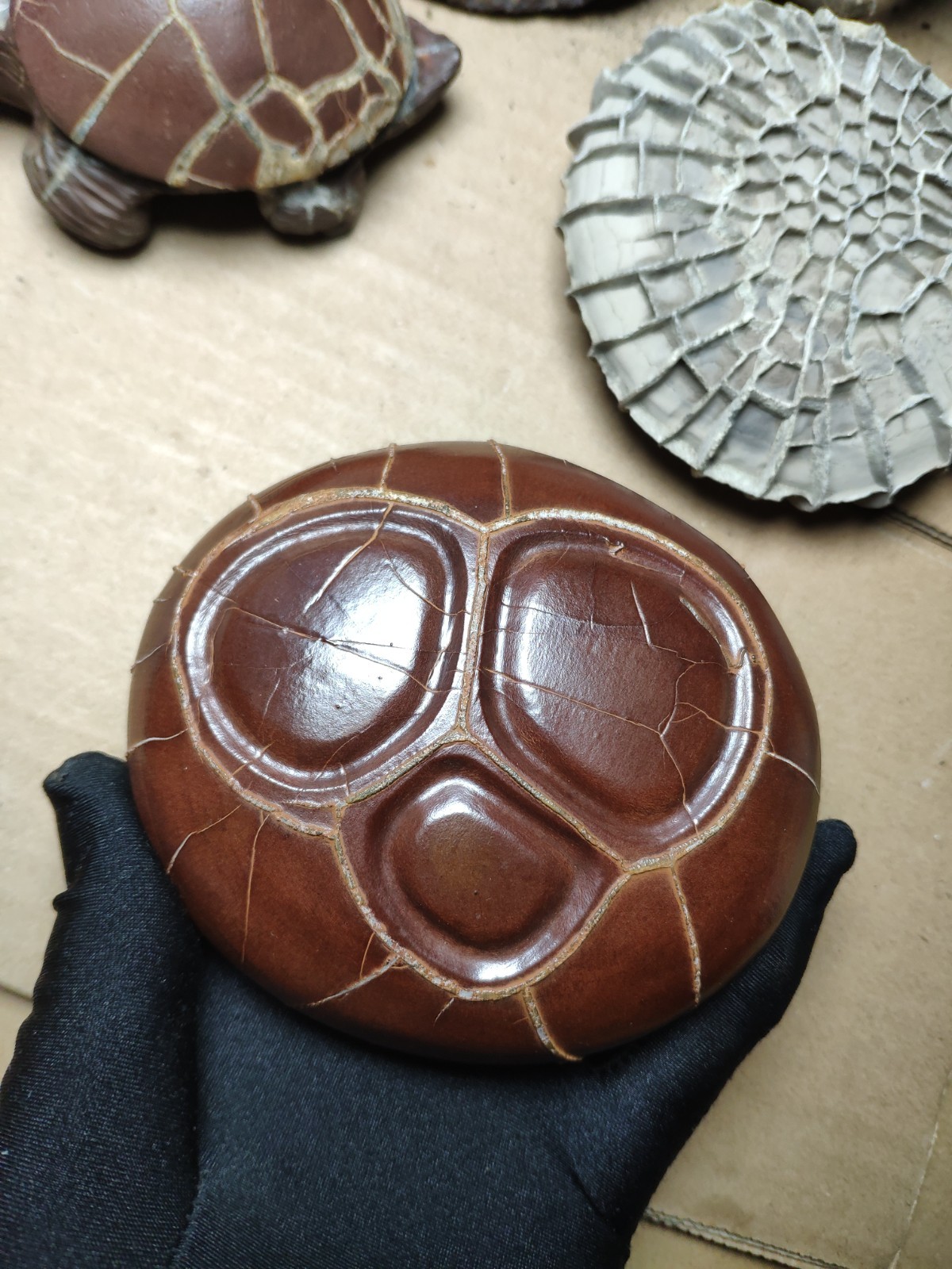 680g beautiful Natural tortoise back pattern stone Landscape stone