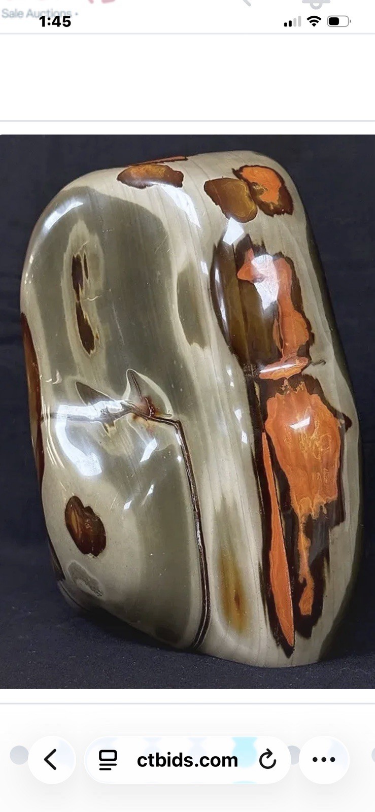 Stunning Madagascar POLYCHROME JASPER 9”x 8” and 15.8 Pounds