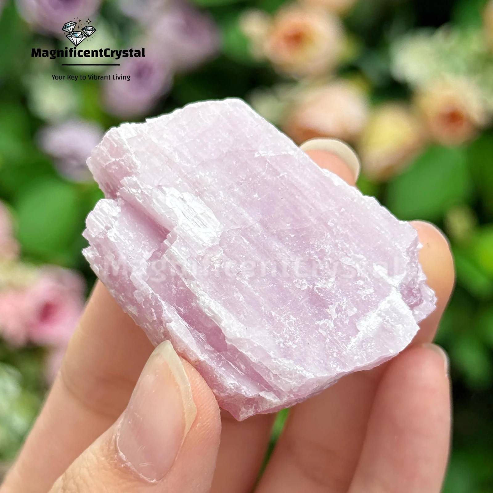 3pcs Genuine Kunzite Crystal Stone Purple Natural Mineral Specimens Healing Deco