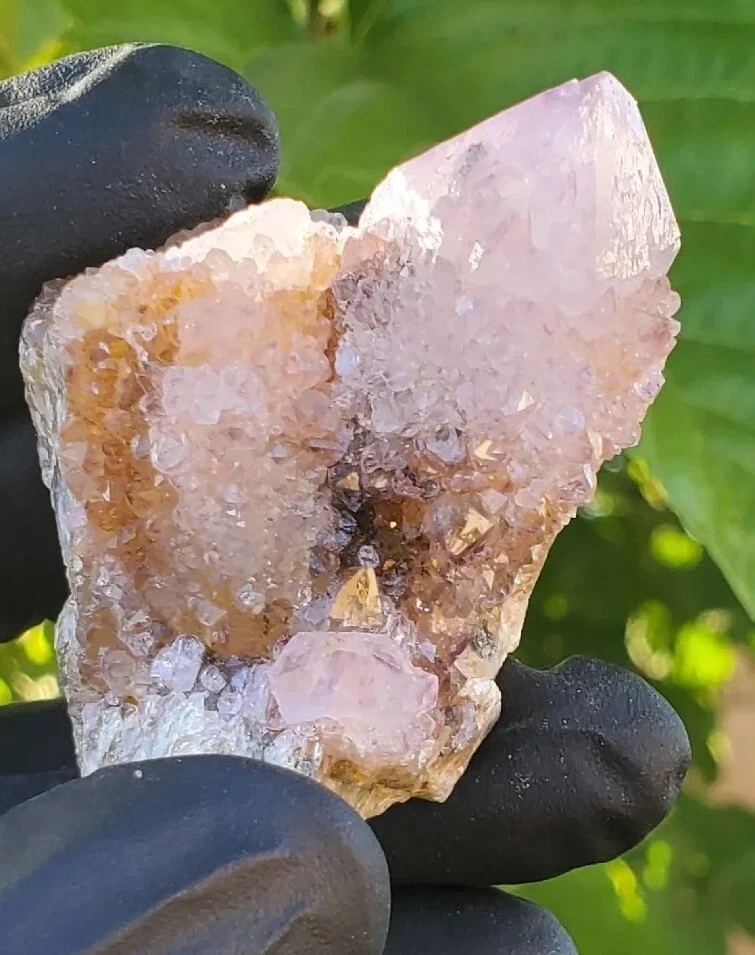 Amethyst Spirit Quartz Crystal Cactus Specimen 72g – South Africa