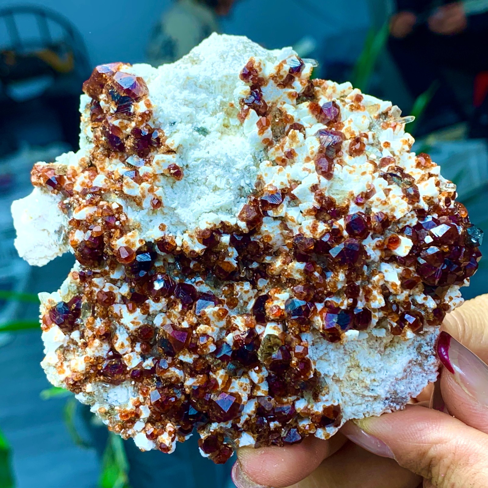 205G Natural Garnet with rock Gorgeous rough raw Crystal Mineral Specimen D32