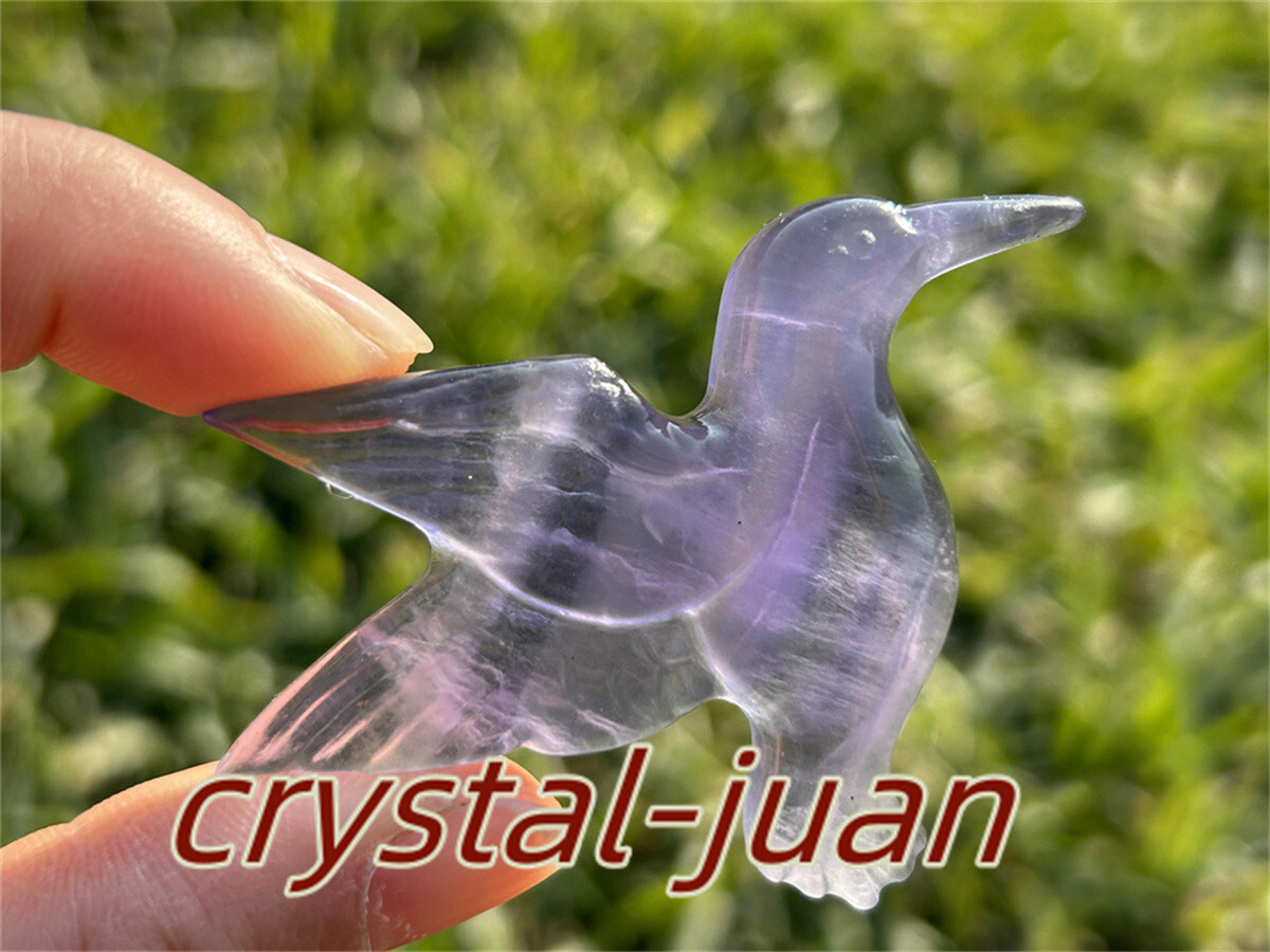 2″+ Natural Fluorite humming bird skull Carved Quartz Crystal skull Reiki heal