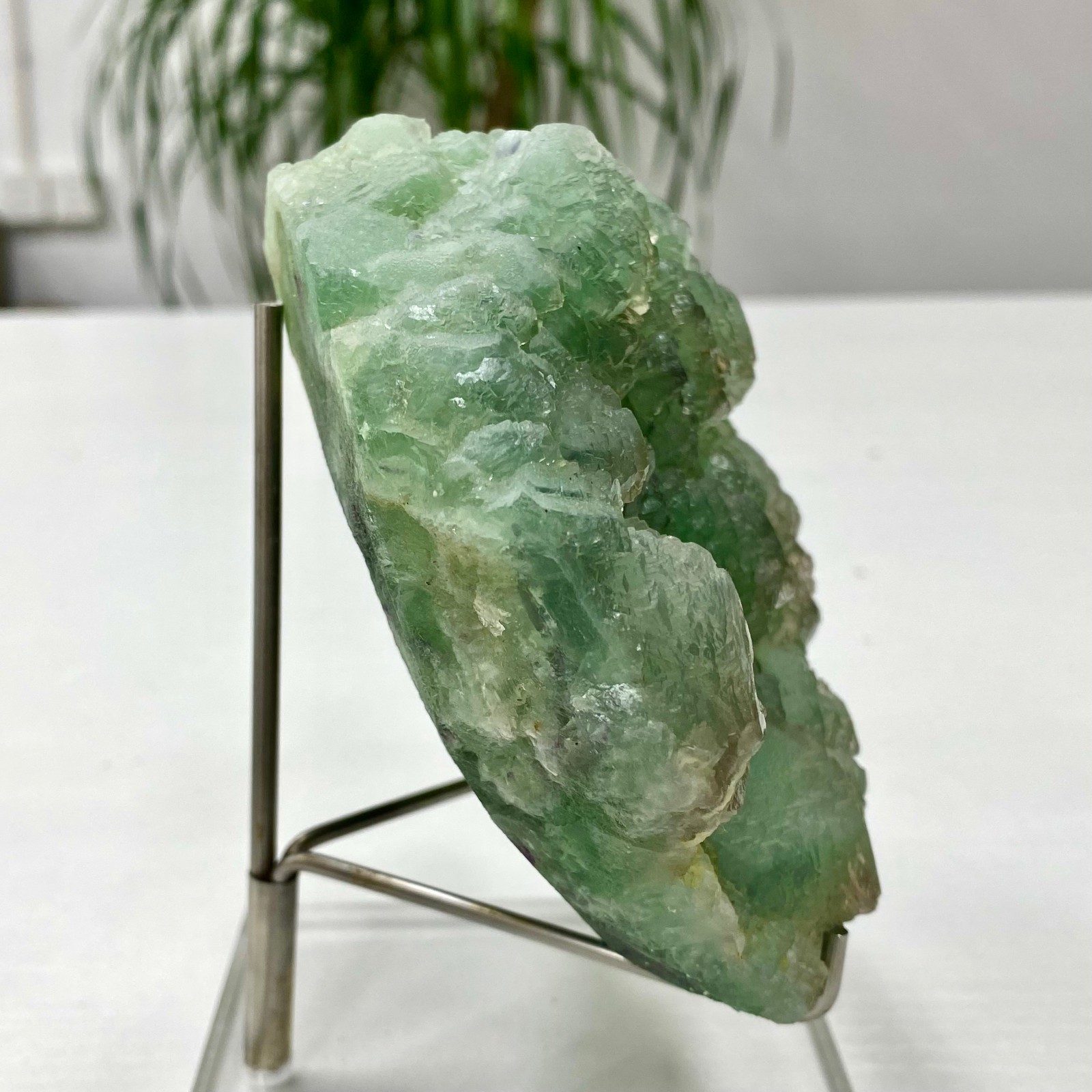 3.64LB Natural transparent green cubic fluorite mineral crystal sample/China