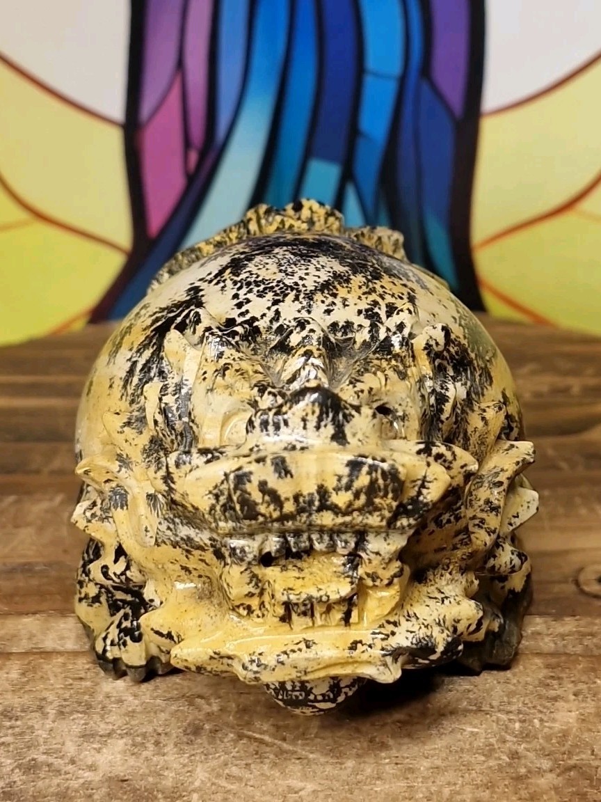 Picture Jasper Chinese Dragon Turtle Carving 7.7cm 274g Hand Carved Crystal