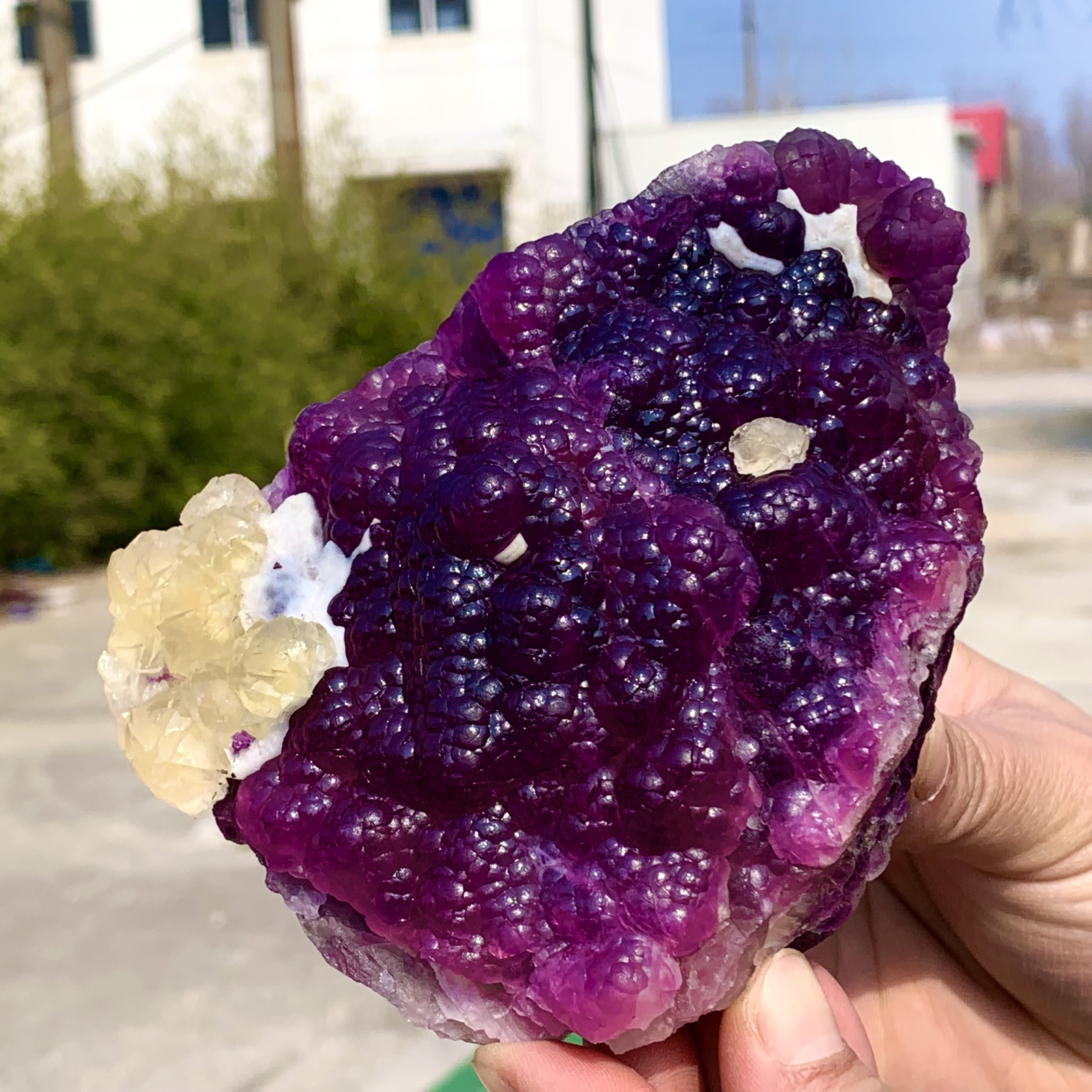 2.40LB Complete rare and gorgeous purple fluorite from Inner Mongolia, China