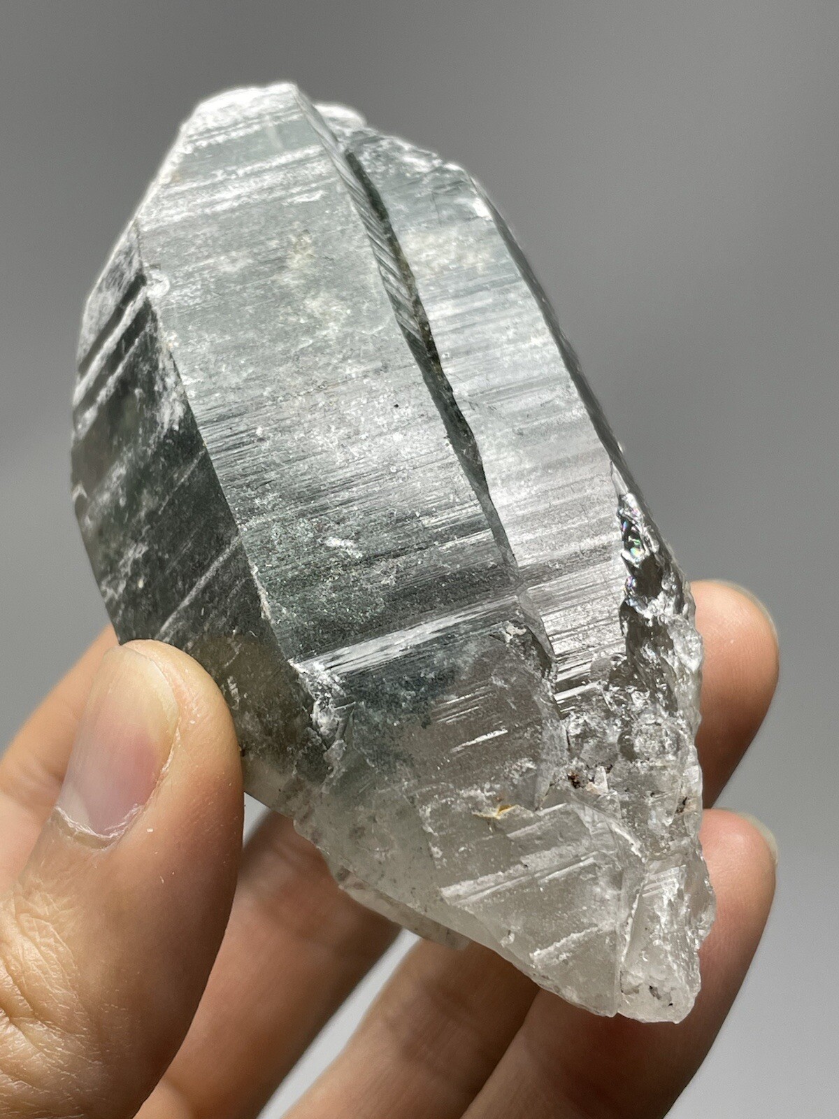 RARE 7.0oz DT Himalayan LEMURIAN Chlorite Quartz Cluster Samadhi Superb! L1