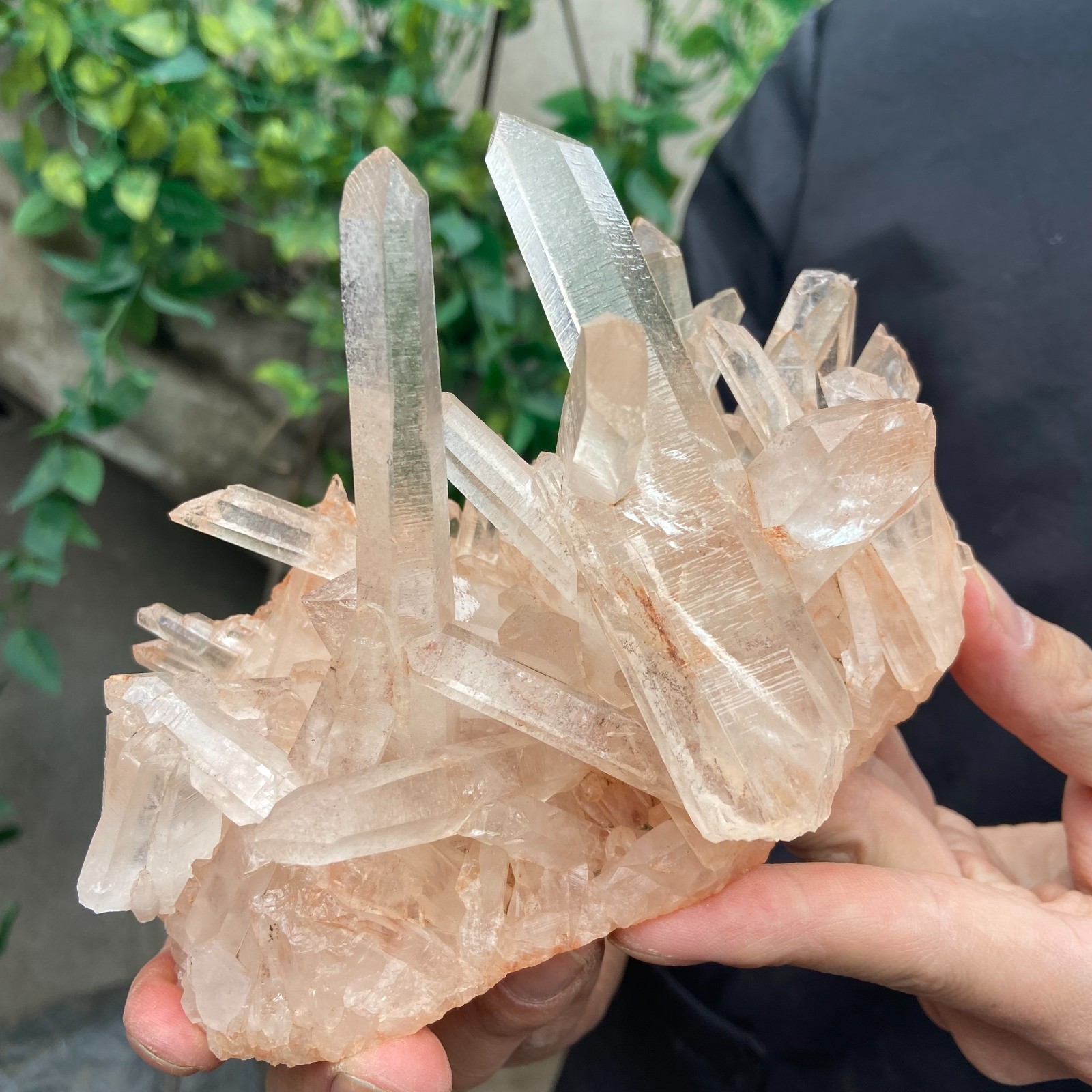 1.7lb Natural clear powder white quartz crystal cluster mineral specimen