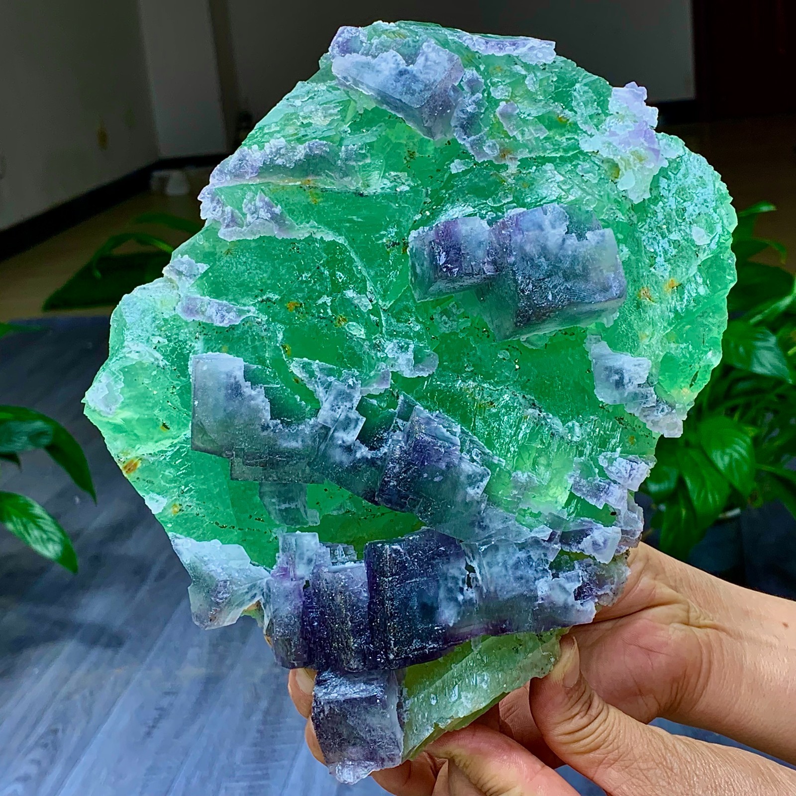 7.2LB Rare transparent green purple cubic Zhejiang fluorite mineral sample