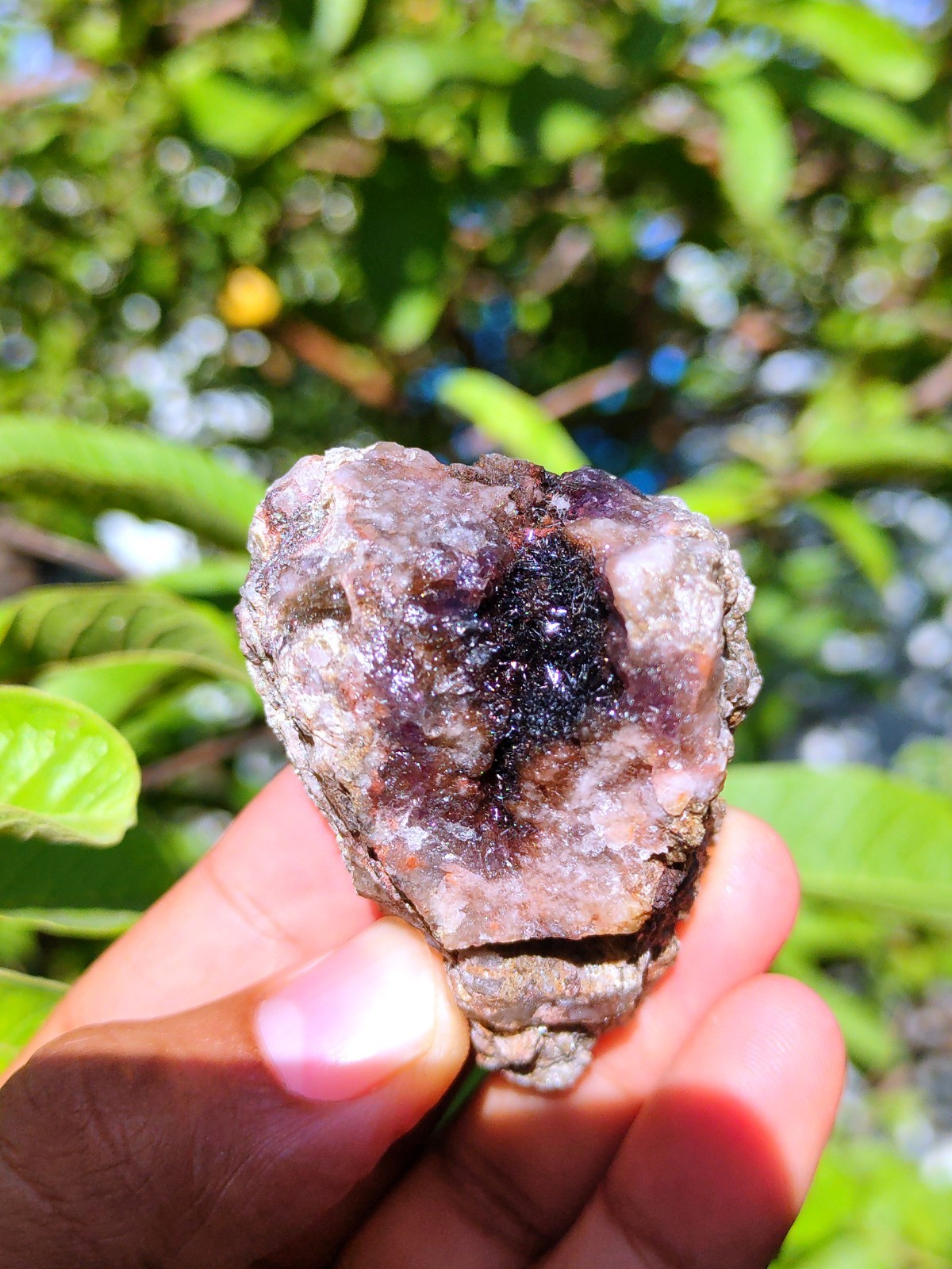 Rainbow 🌈 Rutiles with Karur Amethyst. Natural Mineral specimen Crystal