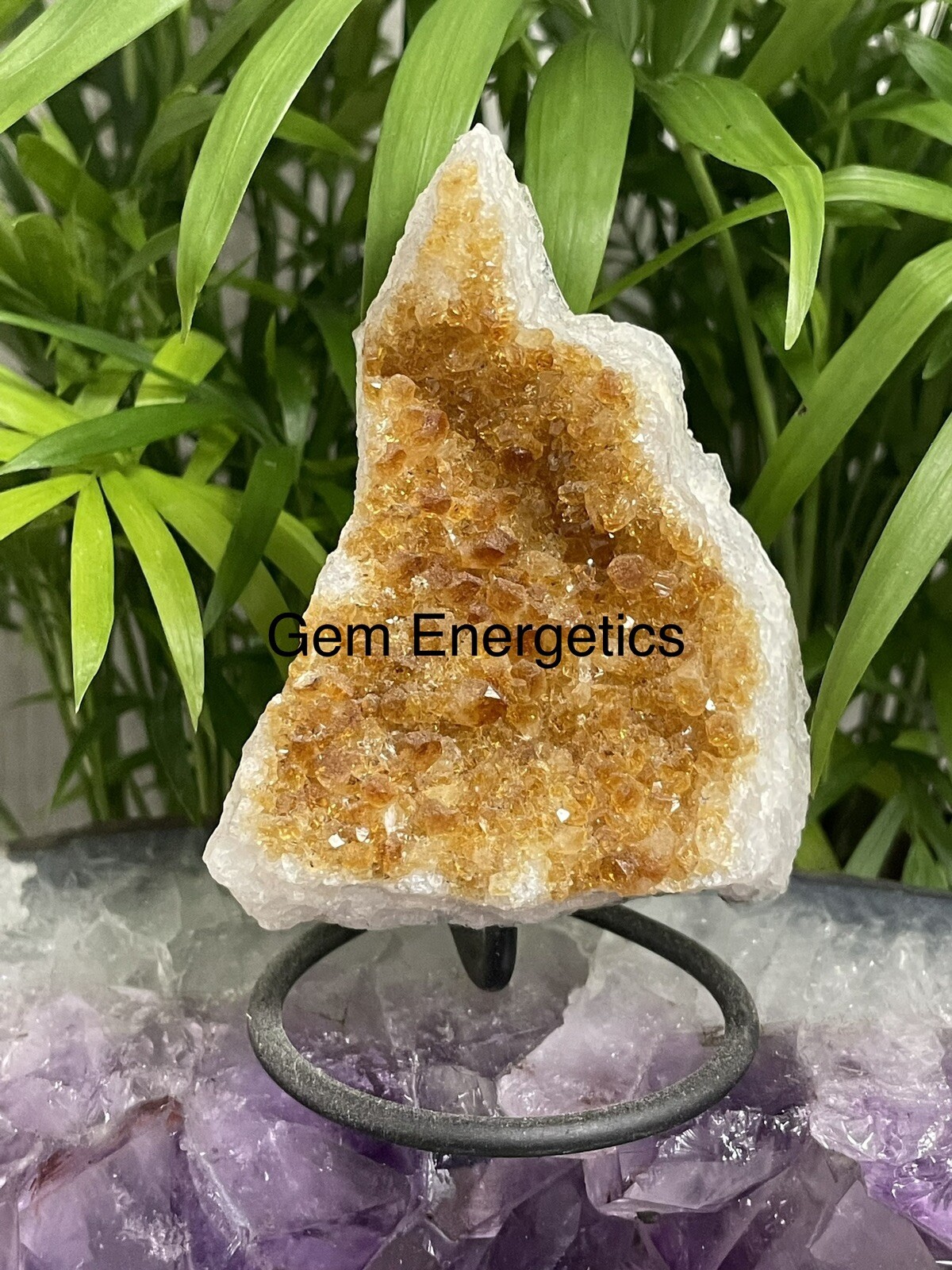 Citrine Druze Specimen Citrine Crystal Cluster Citrine Gemstone Feng Shui Stone.