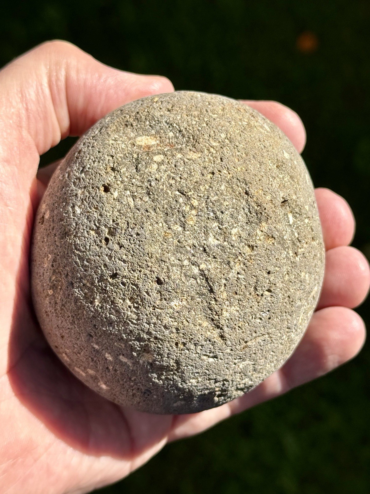 NATURAL SPHERICAL RHYOLITE OR SANDSTONE? CONGLOMERATE ROUND SPHERE STONE ROCK CA