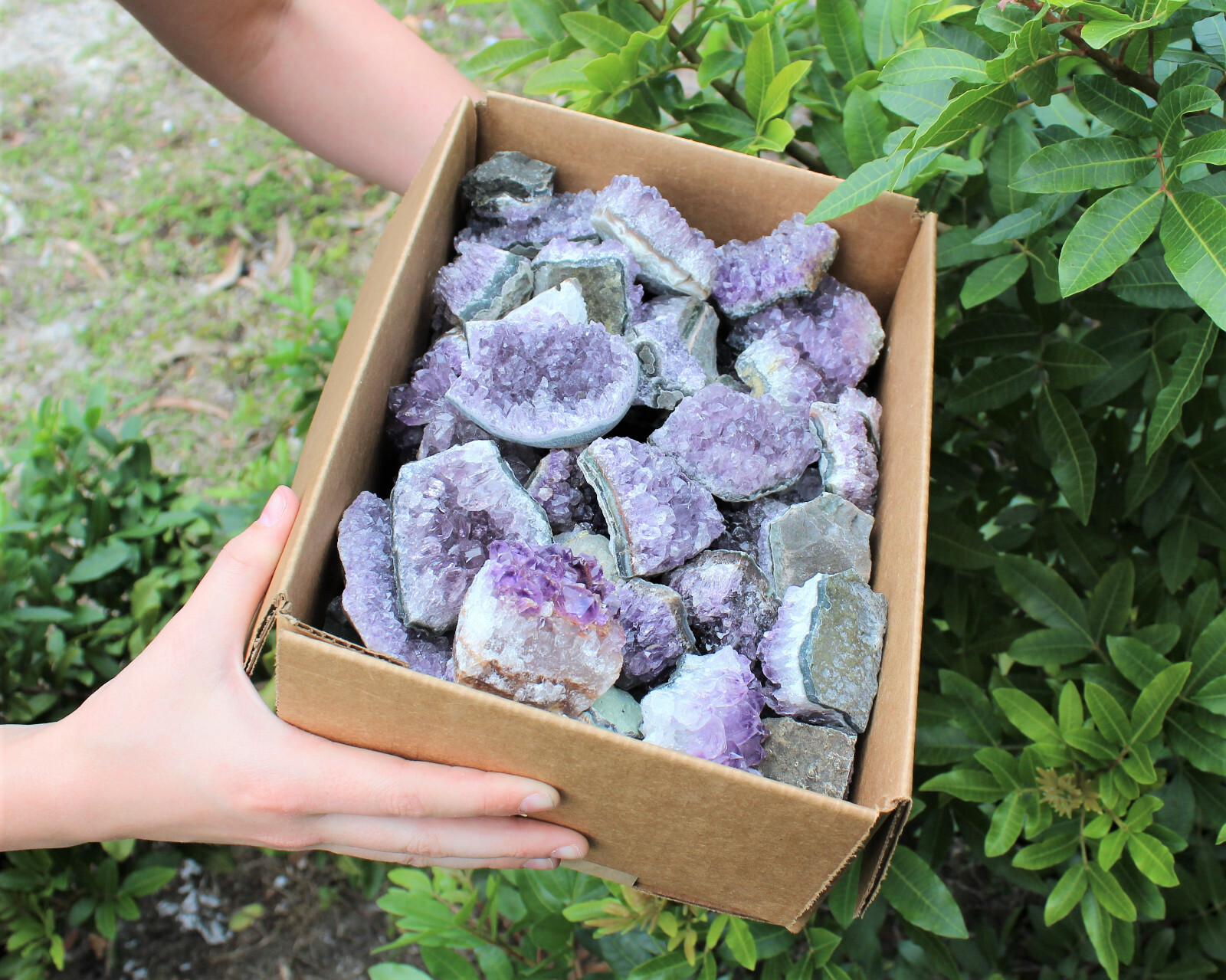 Wholesale Amethyst Cluster Box: B/C Grade CLEARANCE Box Bulk Amethyst Geodes