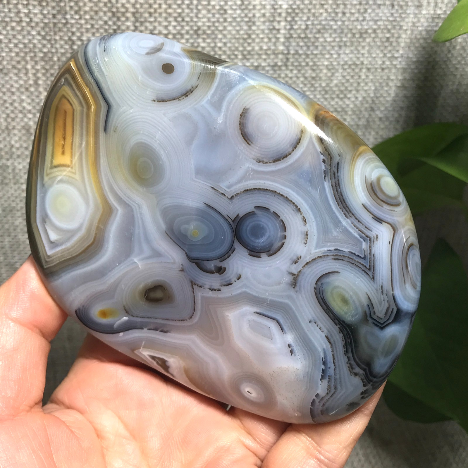 376g Natural Aquatic Plants Agate Ink landscape painting ornament Madagascar 23