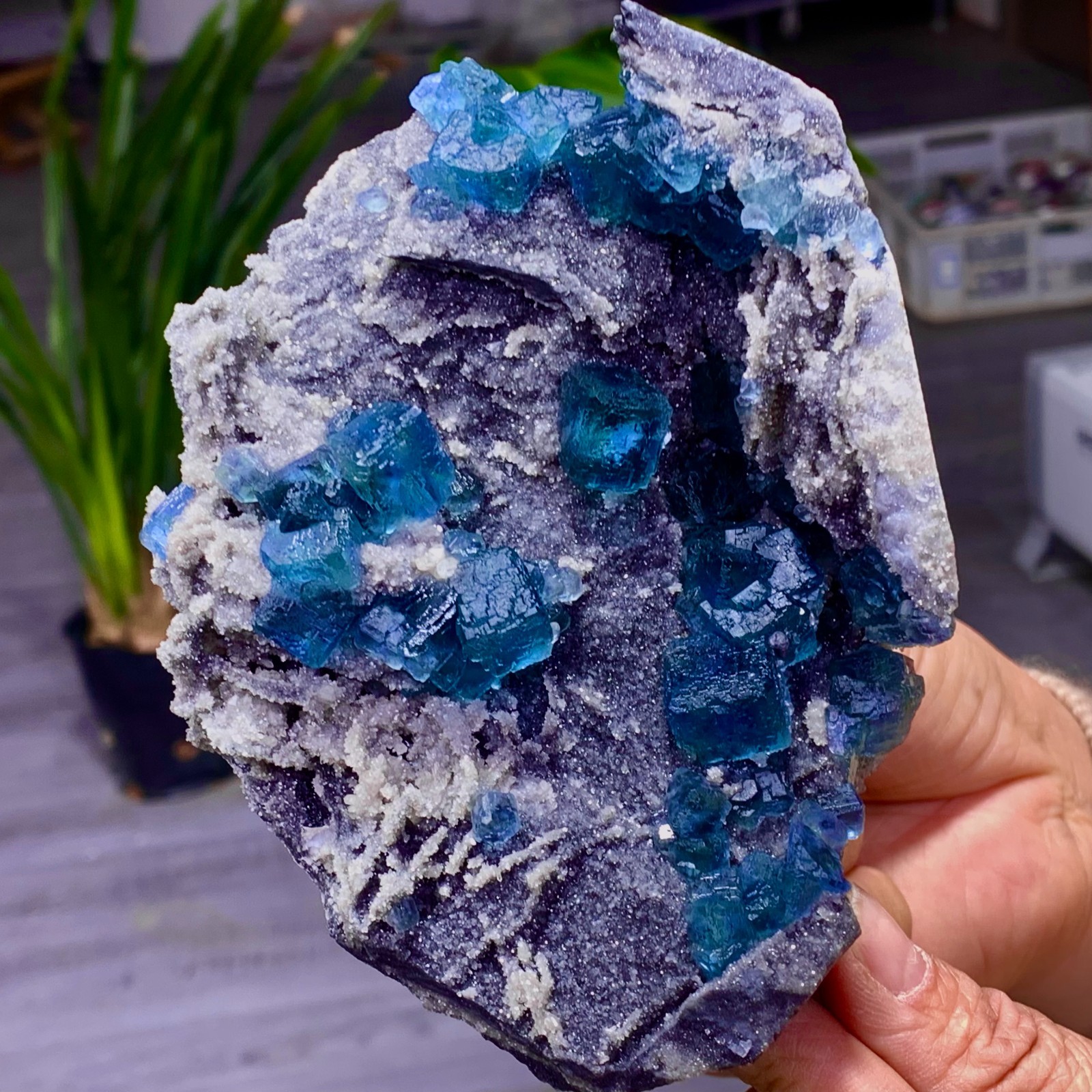 1.36LB Natural transparent purple cubic fluorite mineral sample Inner Mongolia