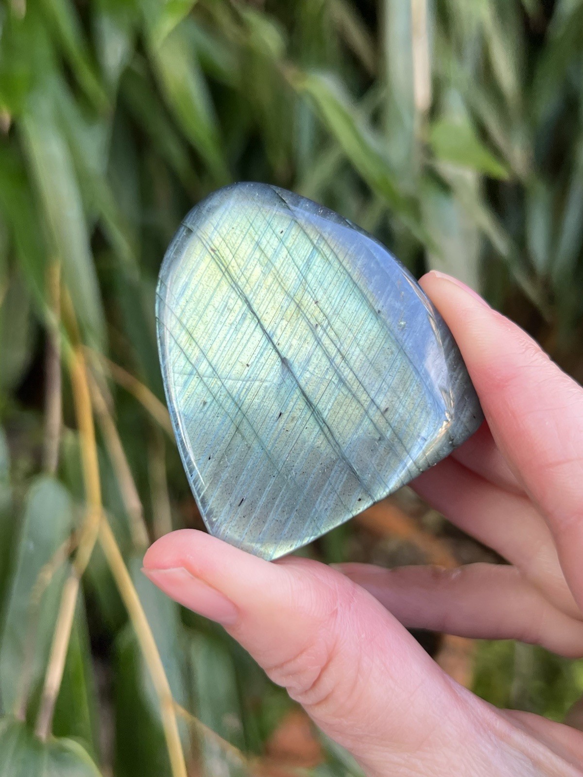 Silver Blue Labradorite Freeform Iridescent Crystal AAA+ 15