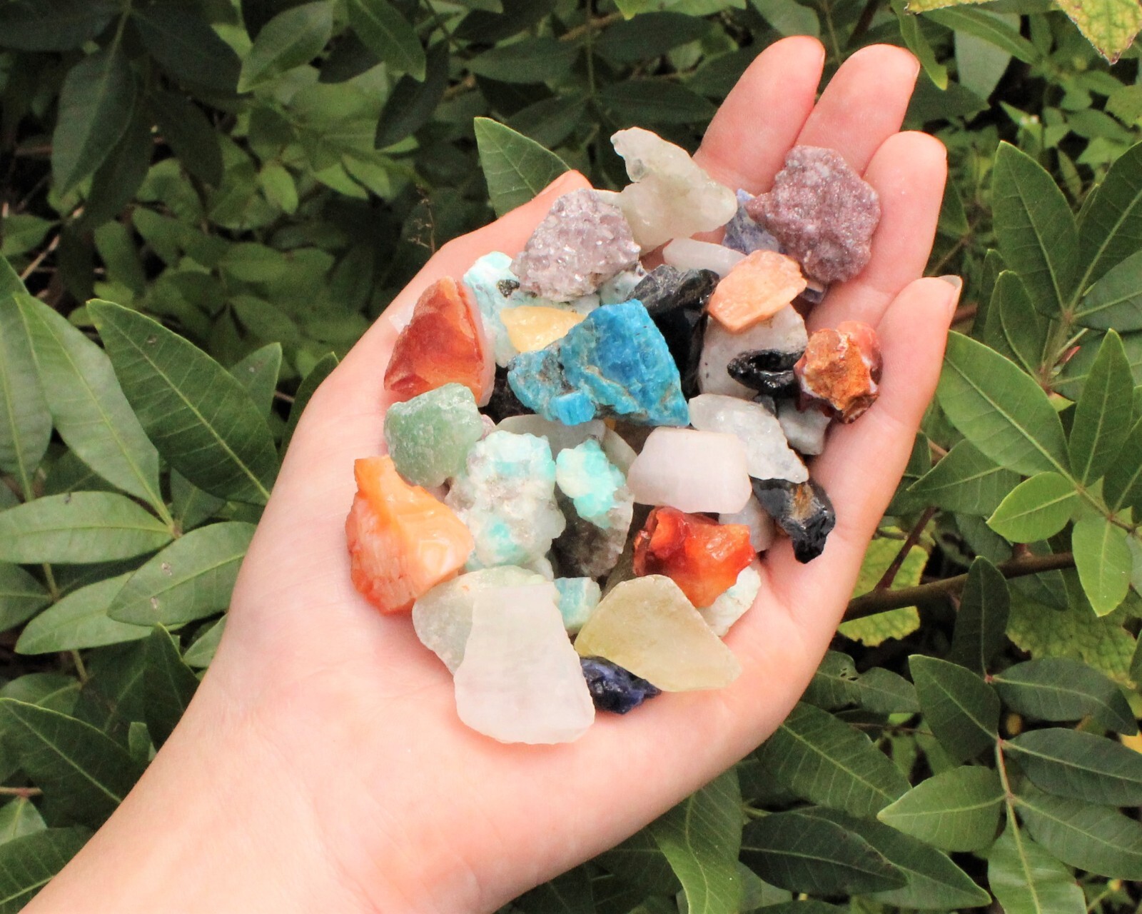 20 lb Wholesale Assorted Rough Gemstone Chips Box – CRAZY CHEAP Raw Crystals