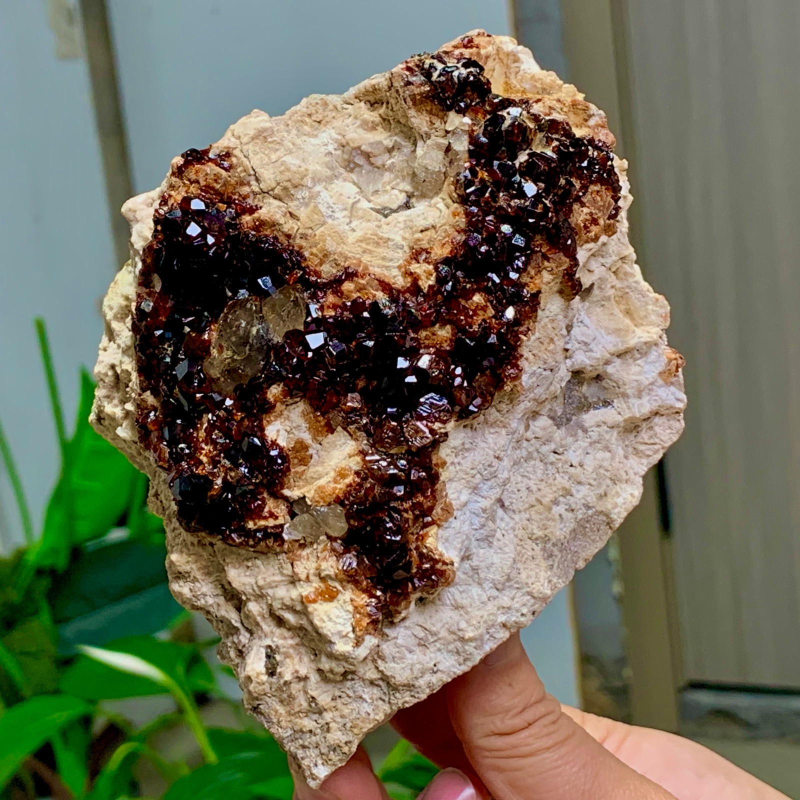 1.92LB Natural Garnet with smokey quartz cluster Crystal Mineral Specimen
