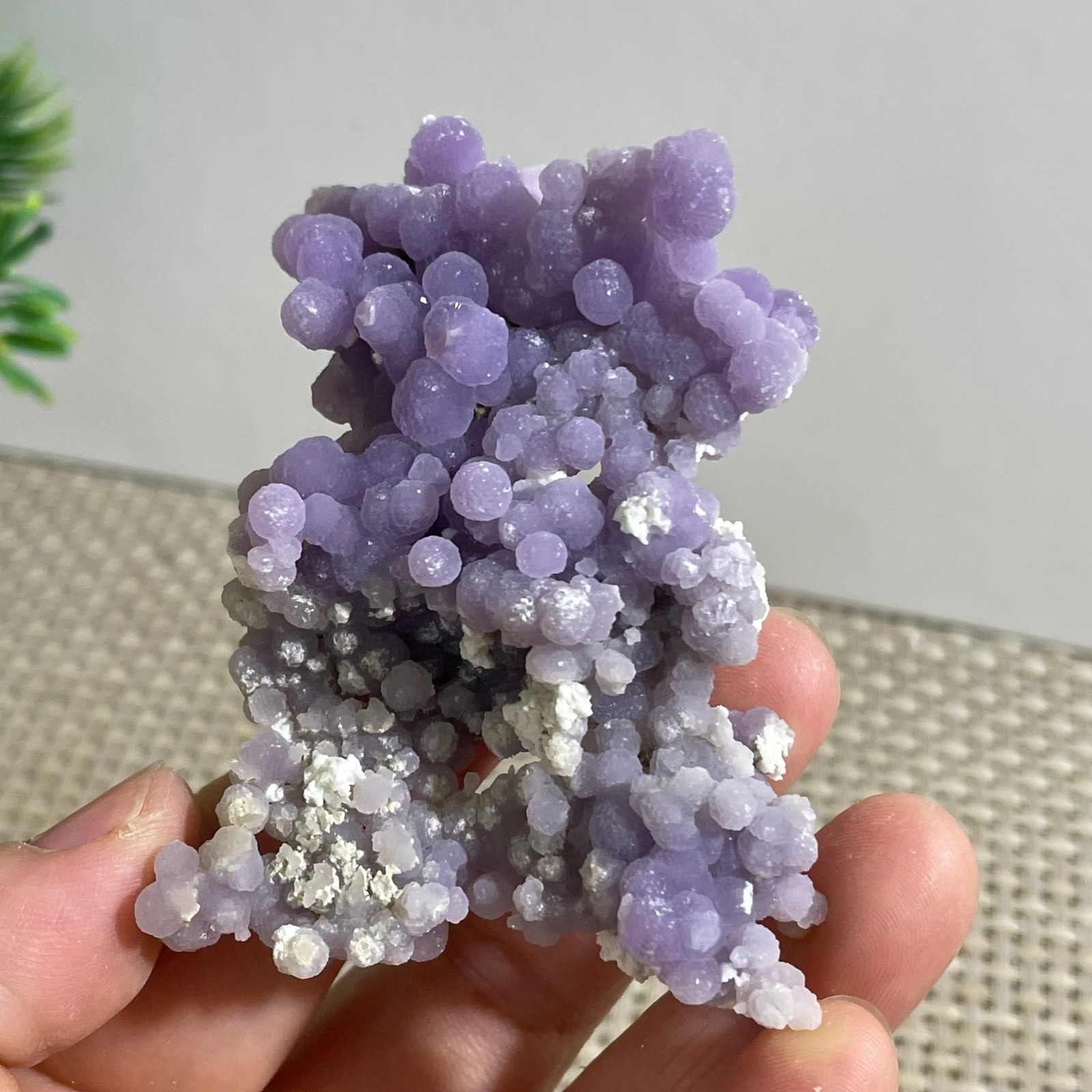 50g Purple stone, grape agate, quartz crystal, granular mineral