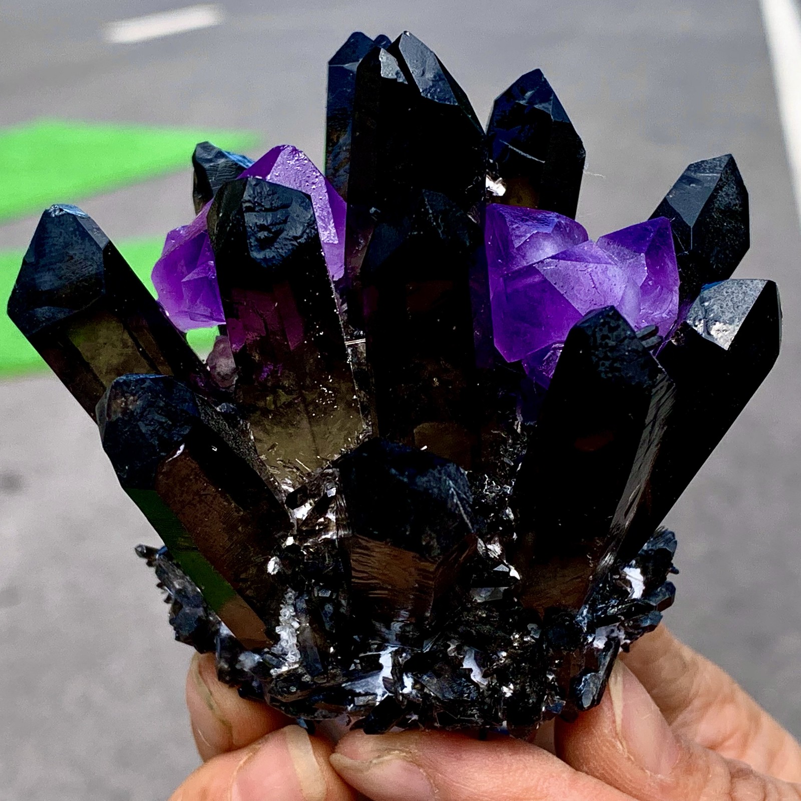 268G New Find black+purple Phantom Quartz Crystal Cluster Mineral Specimen