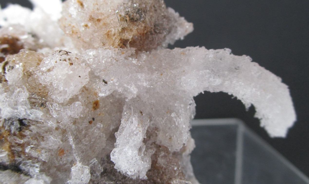 Awsome Frozen Kraken Ram’s Horn Selenite Mineral Specimen Morocco