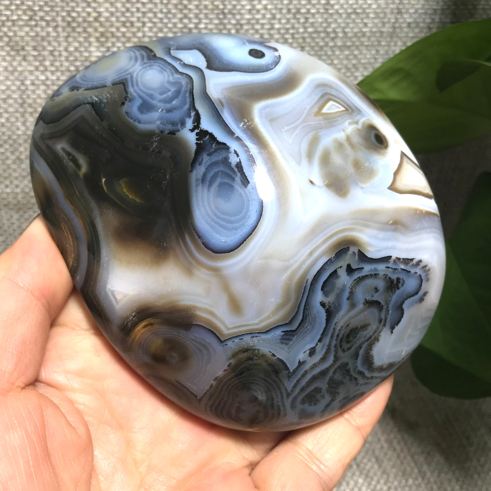 376g Natural Aquatic Plants Agate Ink landscape painting ornament Madagascar 23
