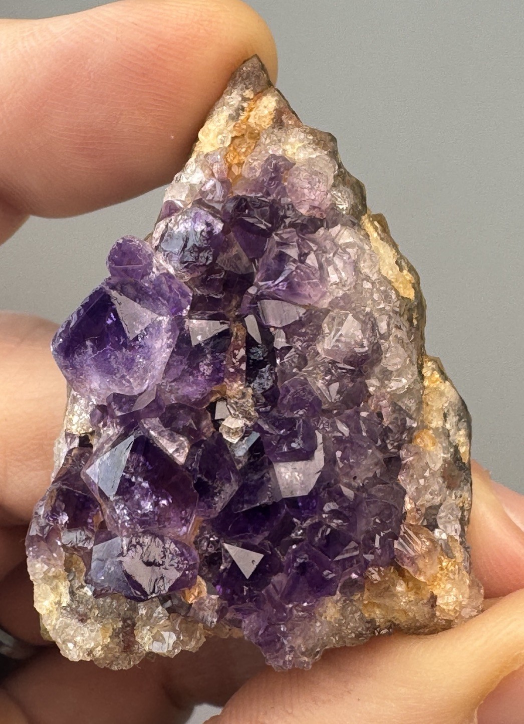 Druzy Deep Royal Purple Amethyst Collector 5 Piece Cluster Set From Brazil