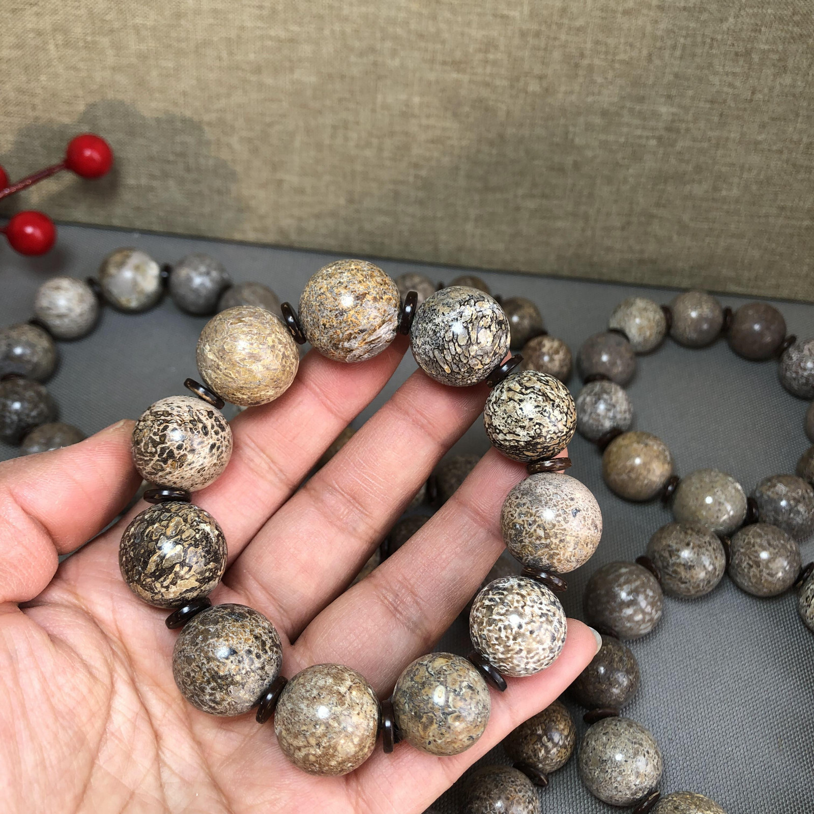 6Pcs Natural polished dinosaur bone bracelets specimen Madagascar 17-18-19mm