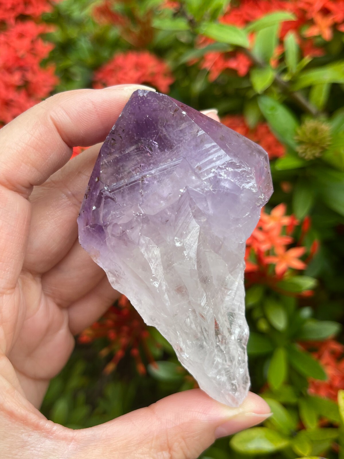 Extra Large Amethyst Rough Points, 2.5 – 3.25″ Raw Amethyst Points, Bulk Lot
