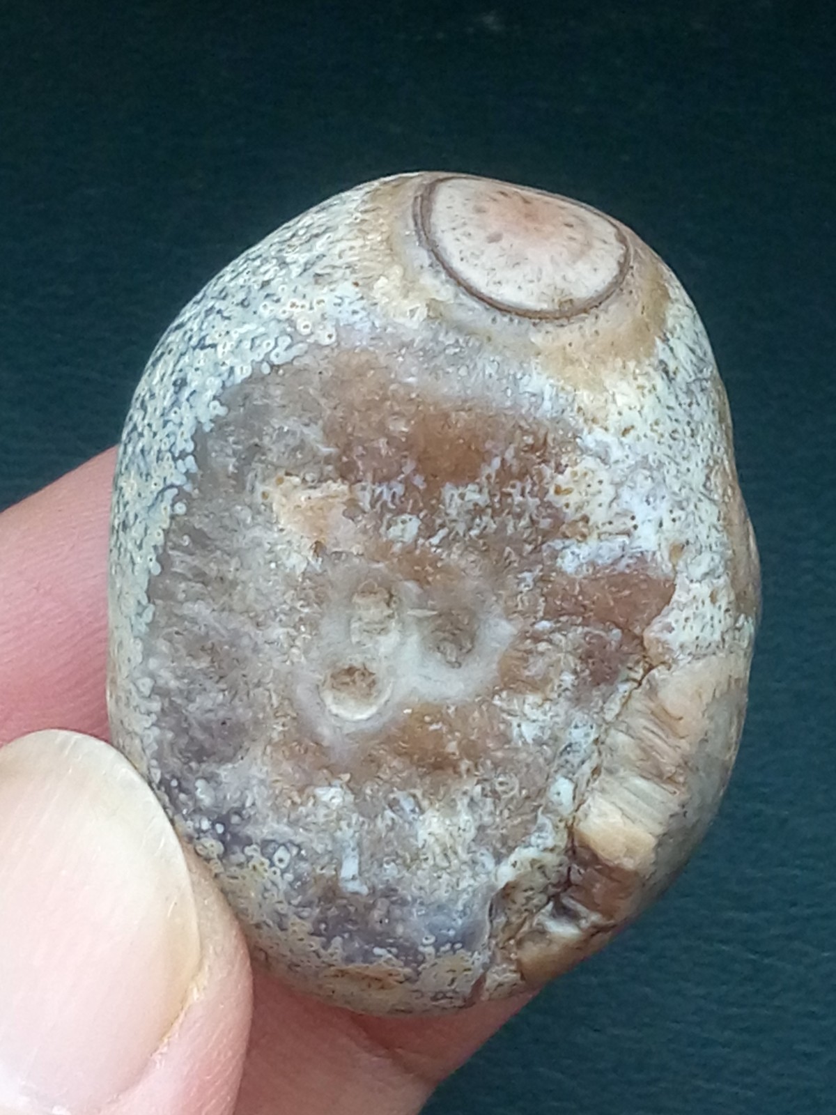 36mm Natural Gobi Agate eye agate collection