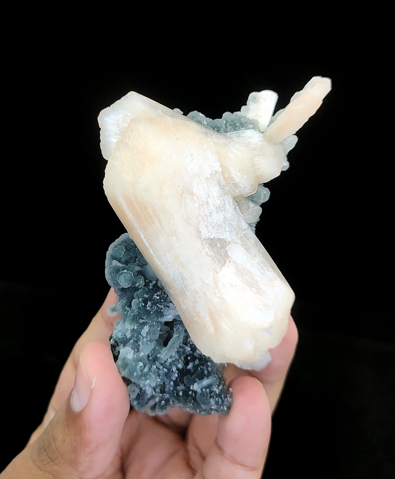 Natural Bow Tie Stilbite On Chalcedony Minerals #113